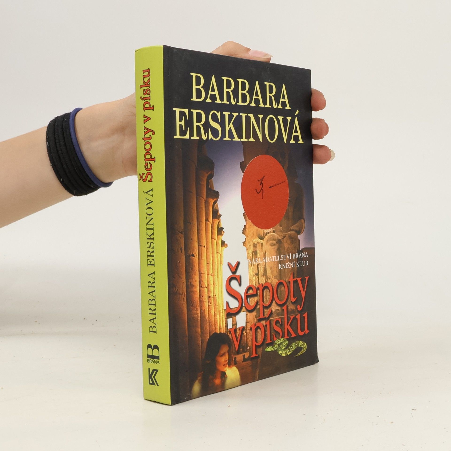 Barbara Erskinová Šepoty v písku