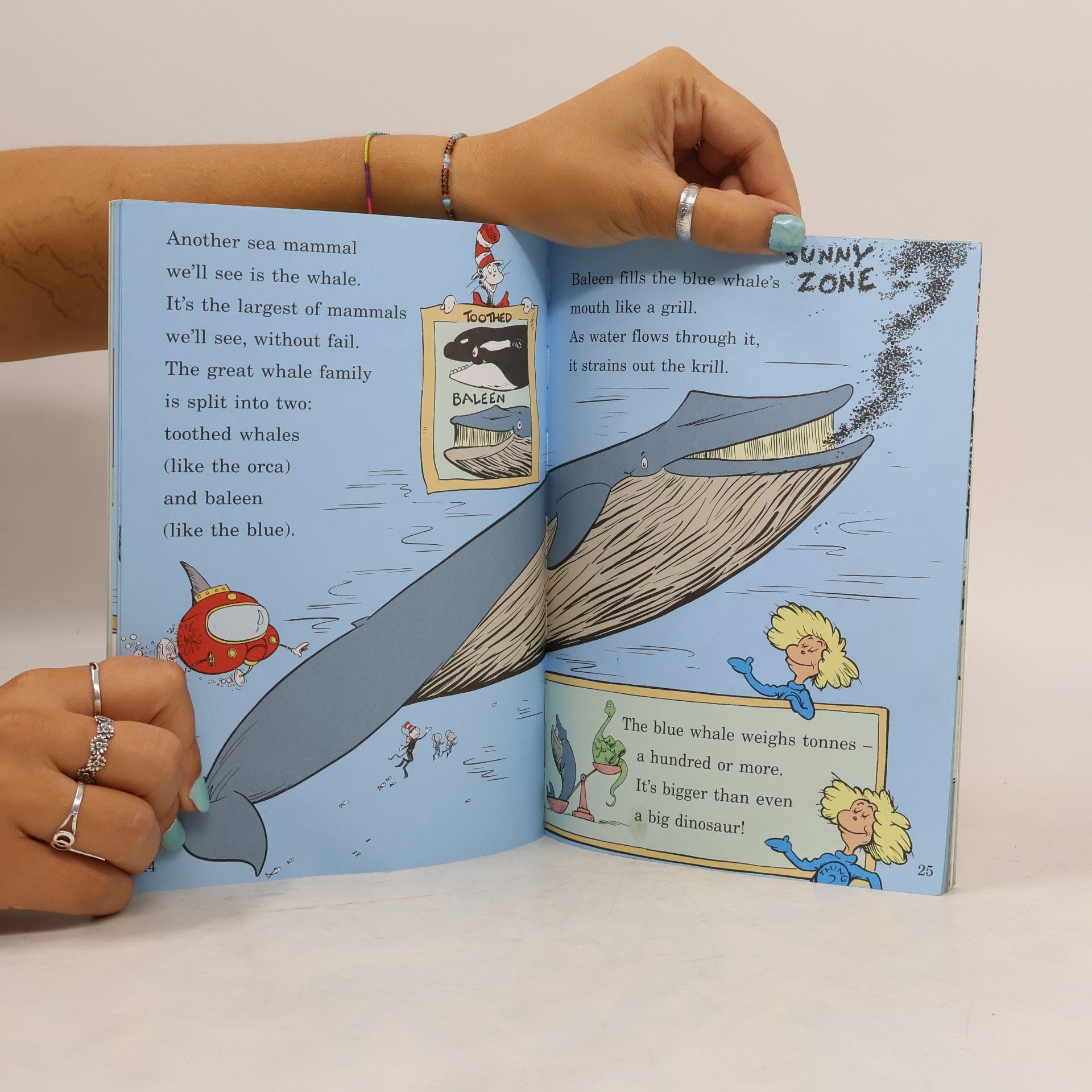 Dr. Seuss The Cat in the Hat's Learning Library - 2: Wish for a Fish