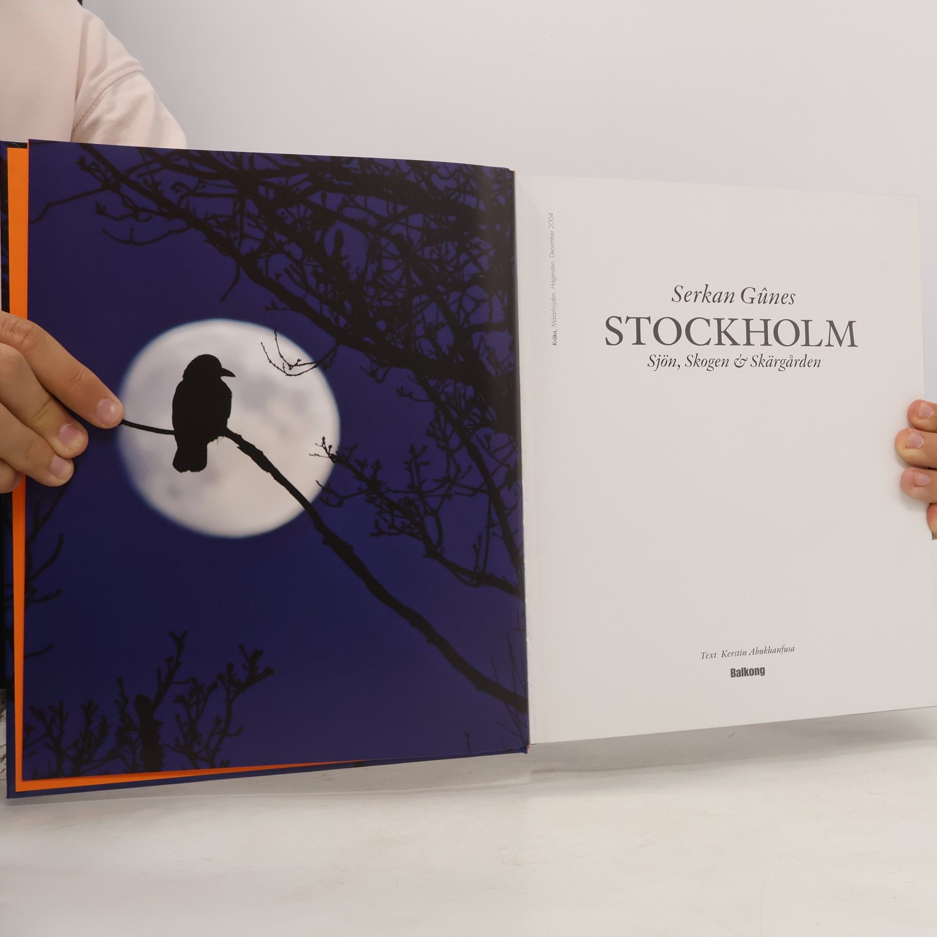 Serkan Günes Stockholm : sjön, skogen & skärgården