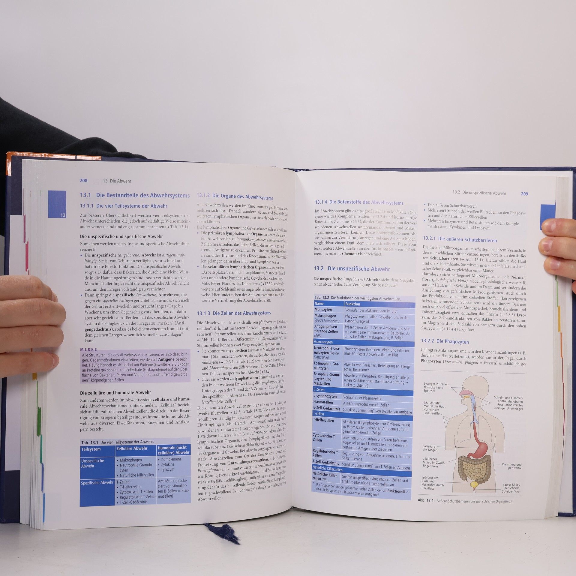 Nicole Menche Biologie, Anatomie, Physiologie
