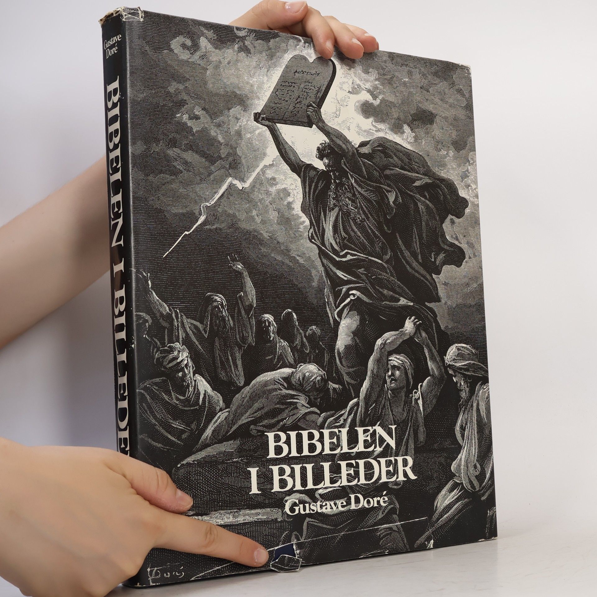 Gustave Doré Bibelen i billeder