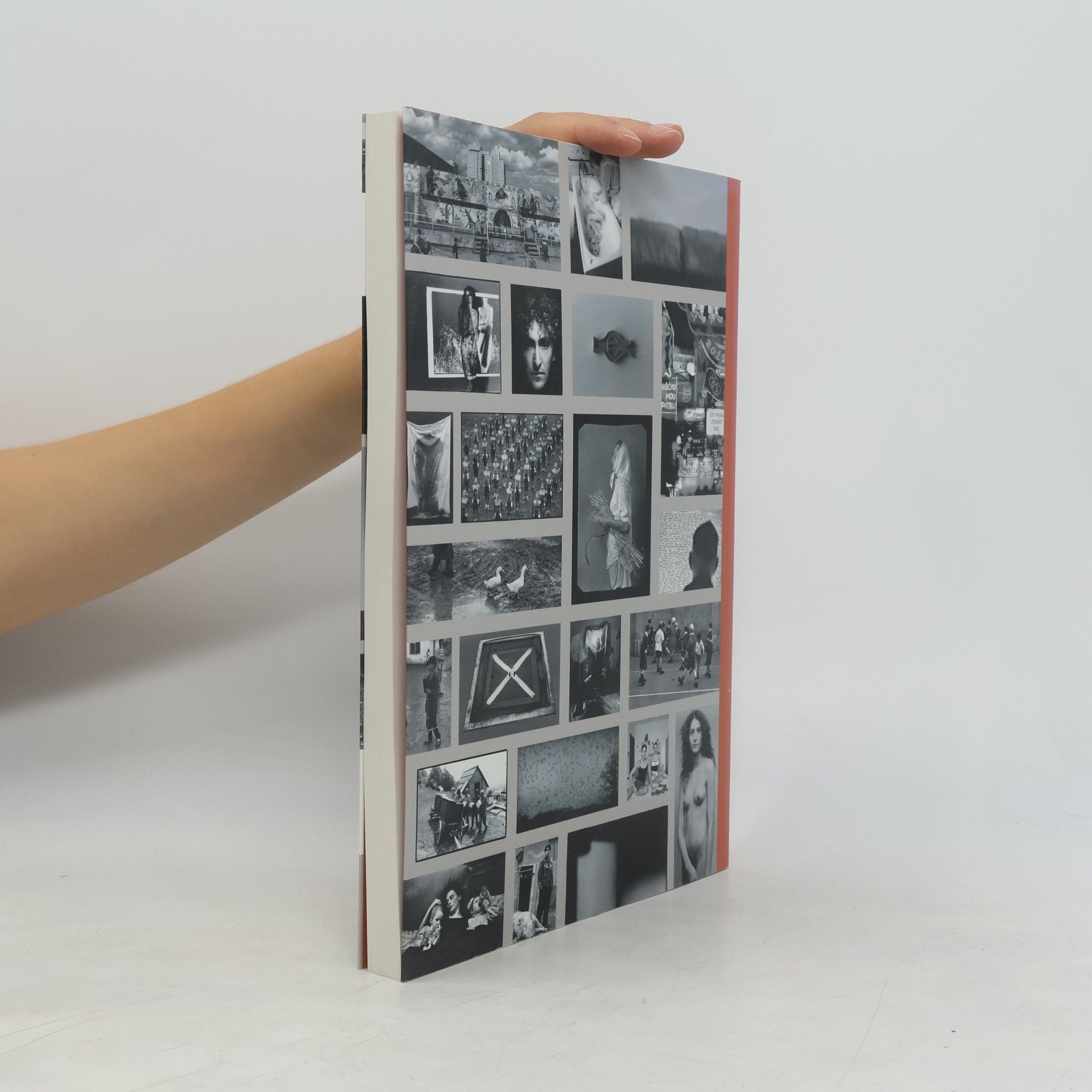 Tomáš Pospěch Česká a slovenská fotografie osmdesátých a devadesátých let 20. století / Czech and Slovak Photography of the 1980s and 1990s.