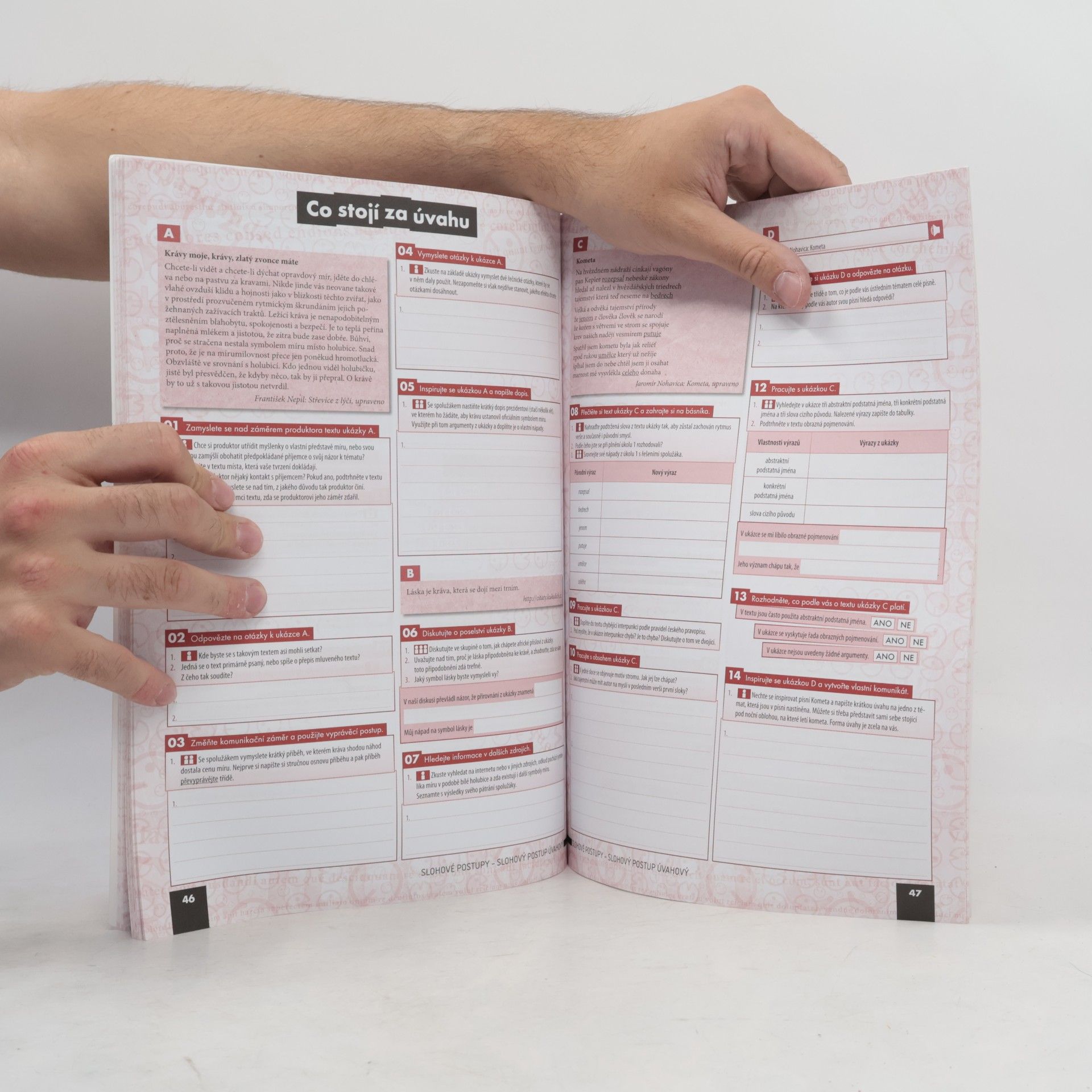 Various authors Český jazyk a komunikace pro střední školy. 1. díl, Pracovní sešit
