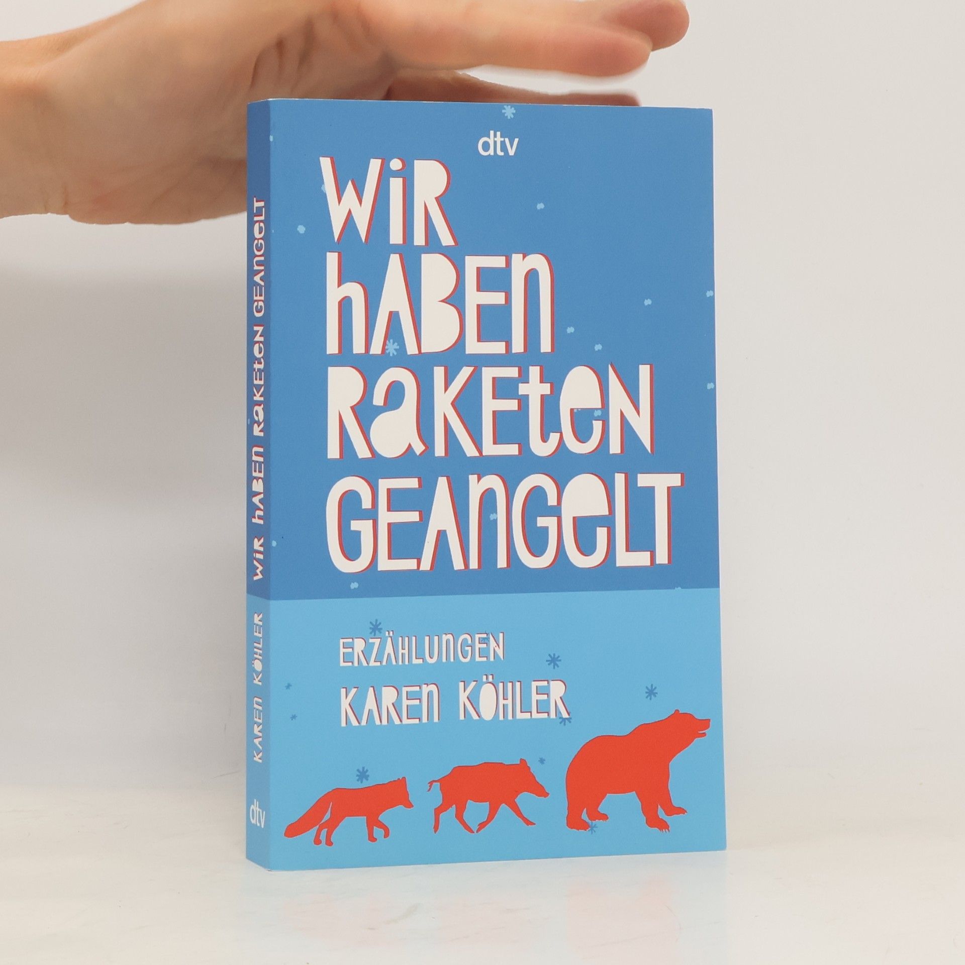 Karen Köhler Wir haben Raketen geangelt