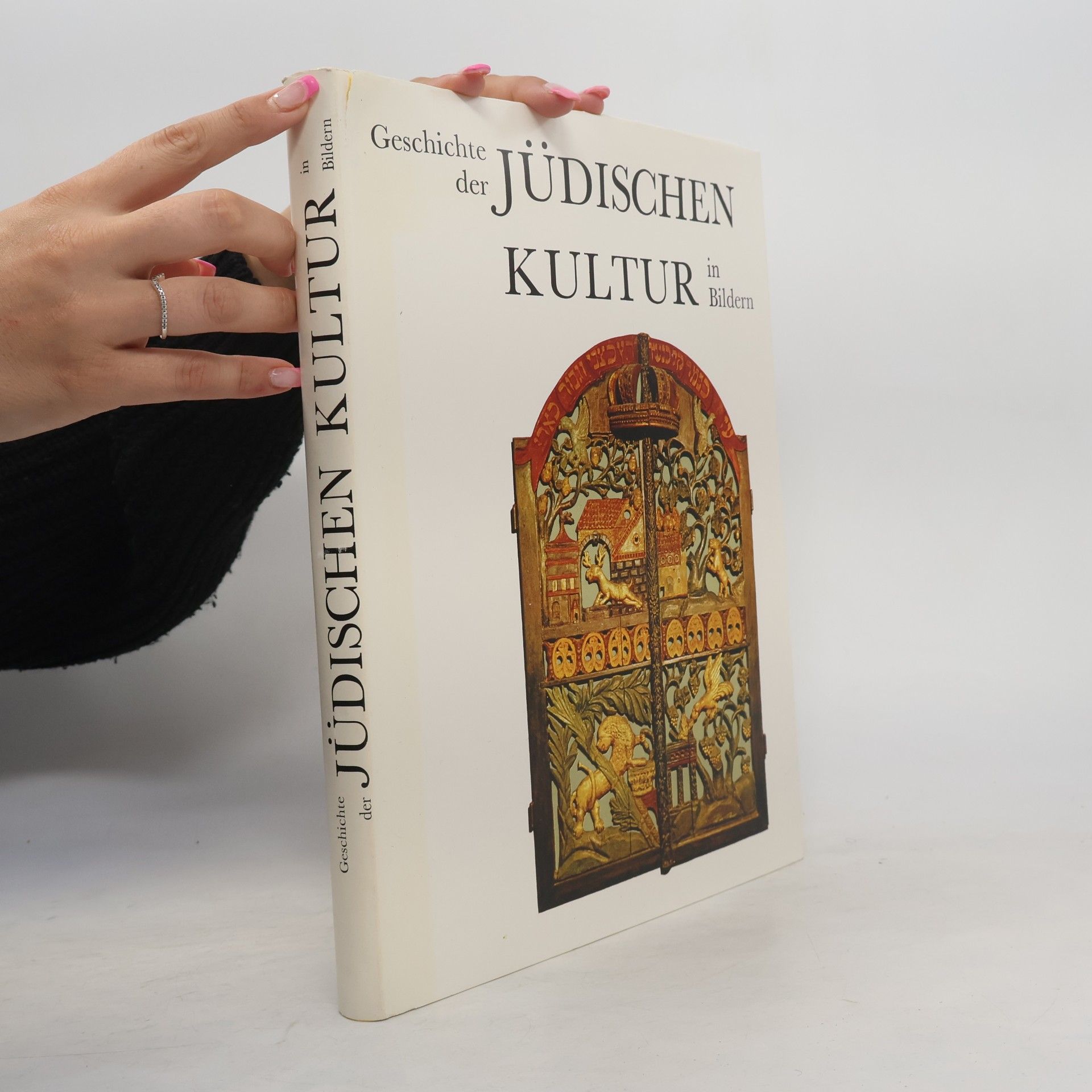 Bes al e. l. Narqi s. Geschichte der jüdischen Kultur in Bildern