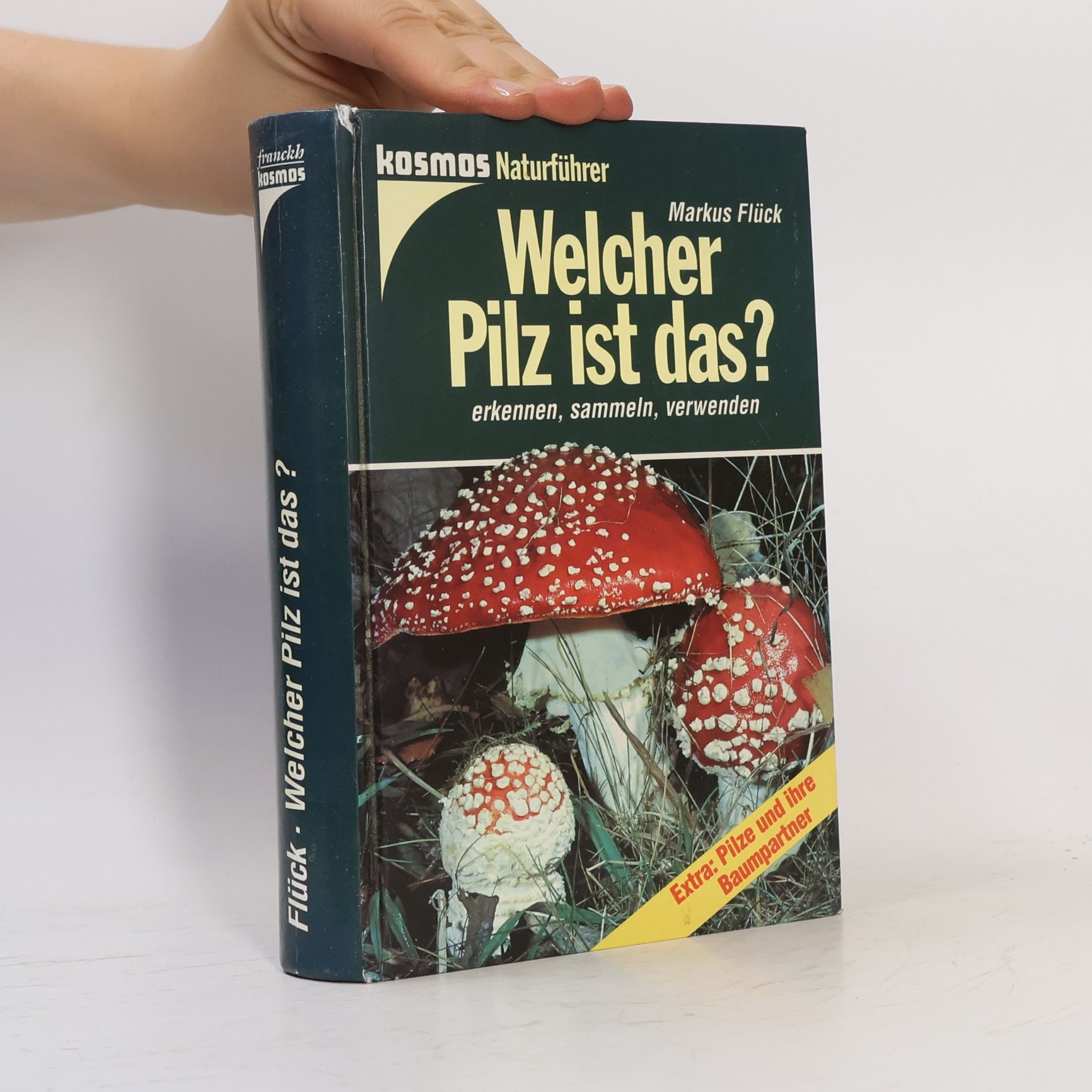 Markus Flück Welcher Pilz ist das?