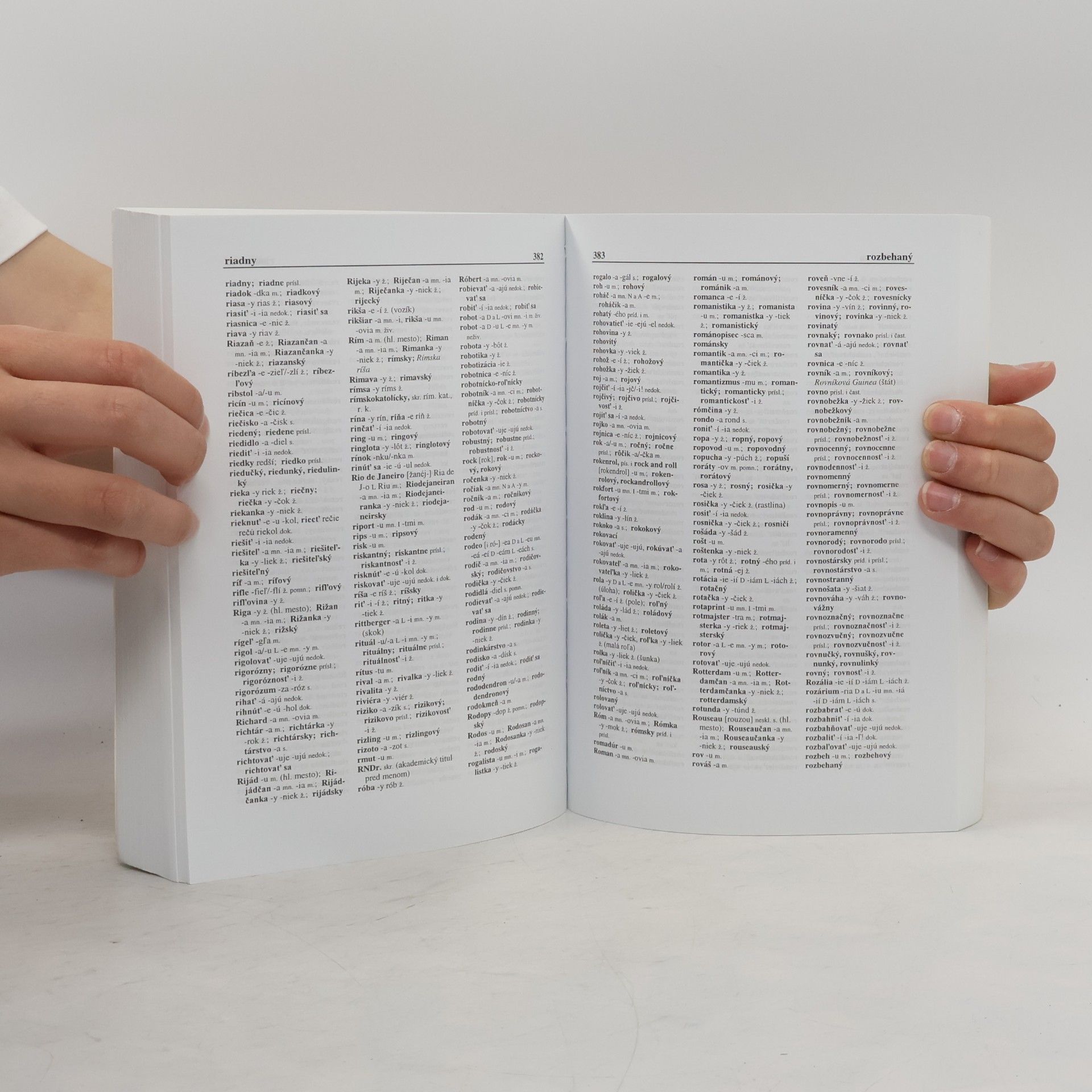 Autorenkollektiv Pravidlá slovenského pravopisu