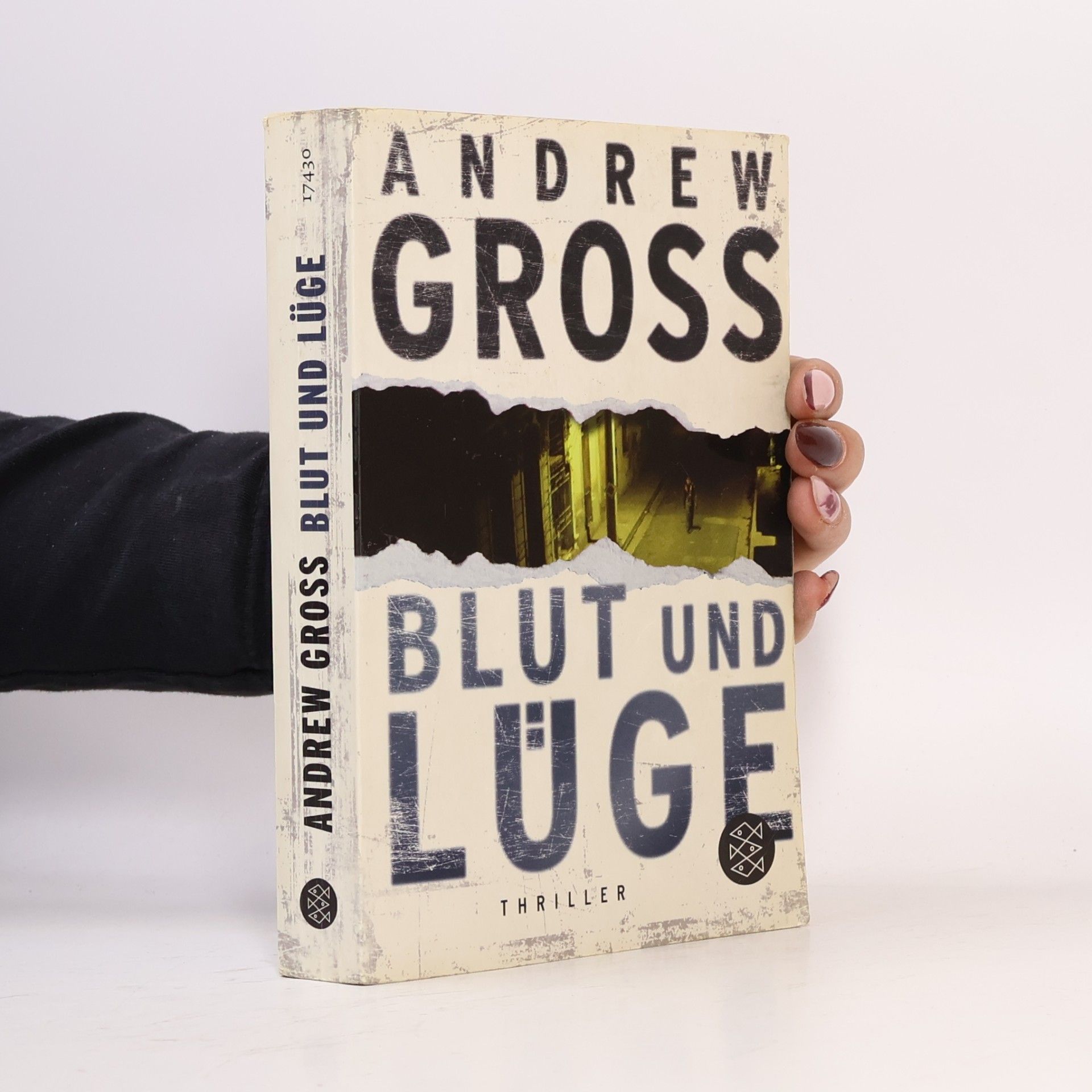 Andrew Gross Blut und Lüge