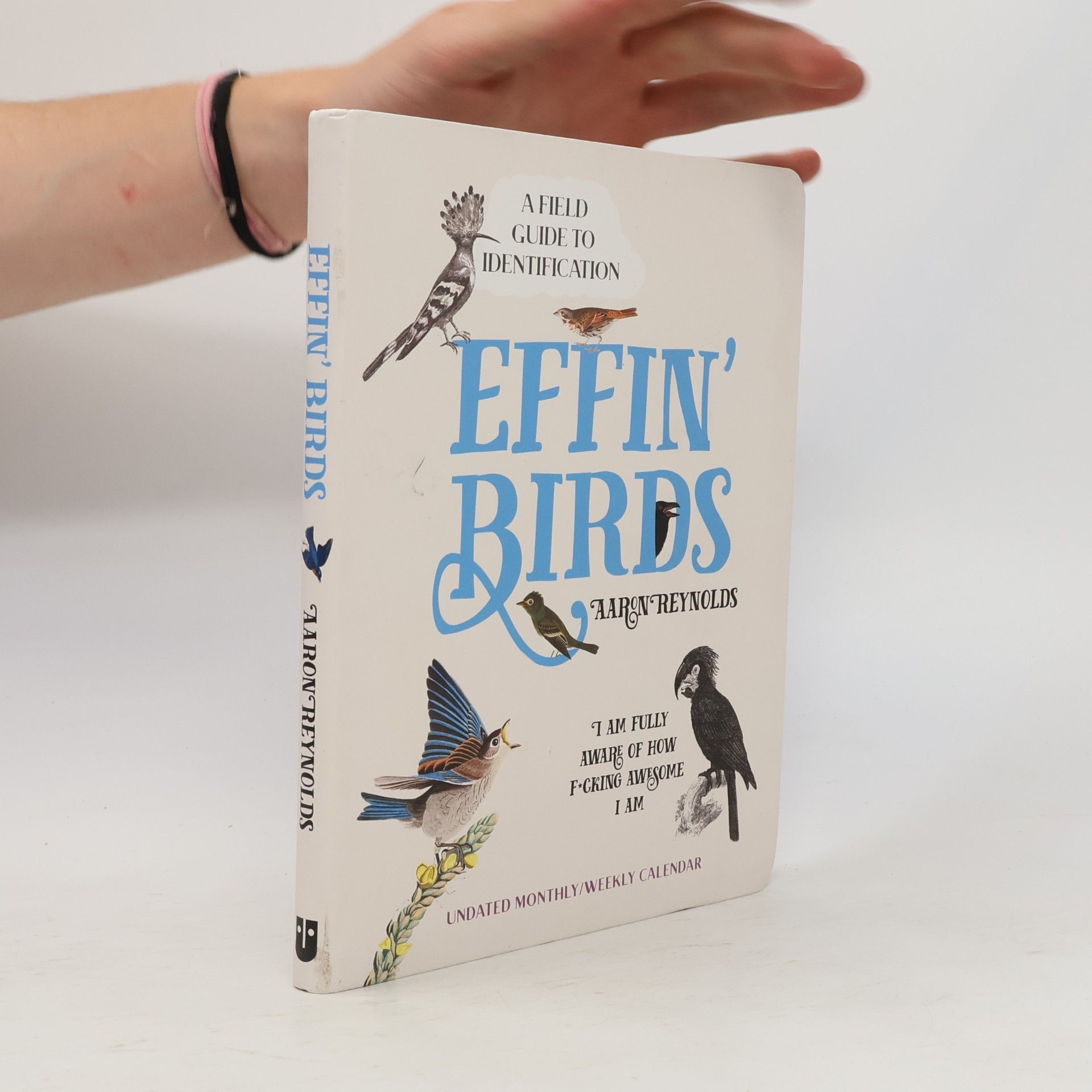 Aaron Reynolds Effin' Birds Undated Monthly/Weekly Planner Calendar