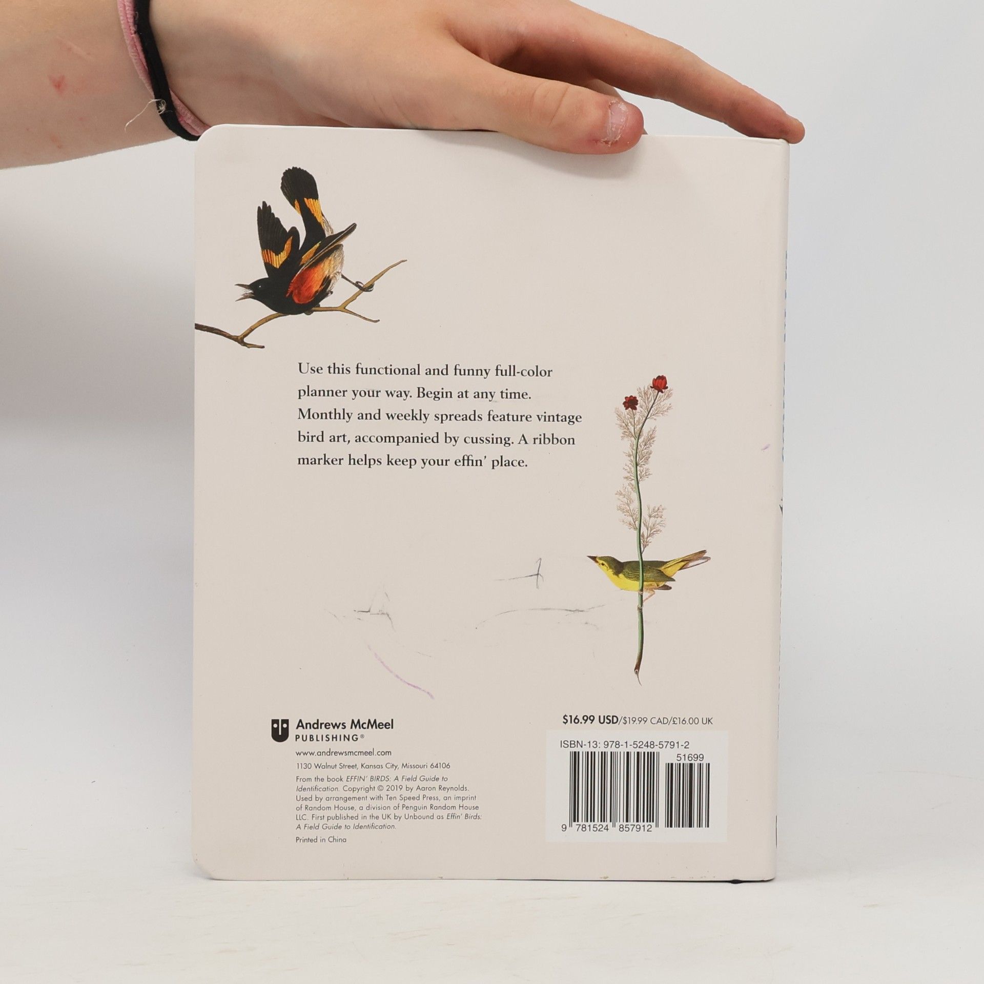 Aaron Reynolds Effin' Birds Undated Monthly/Weekly Planner Calendar