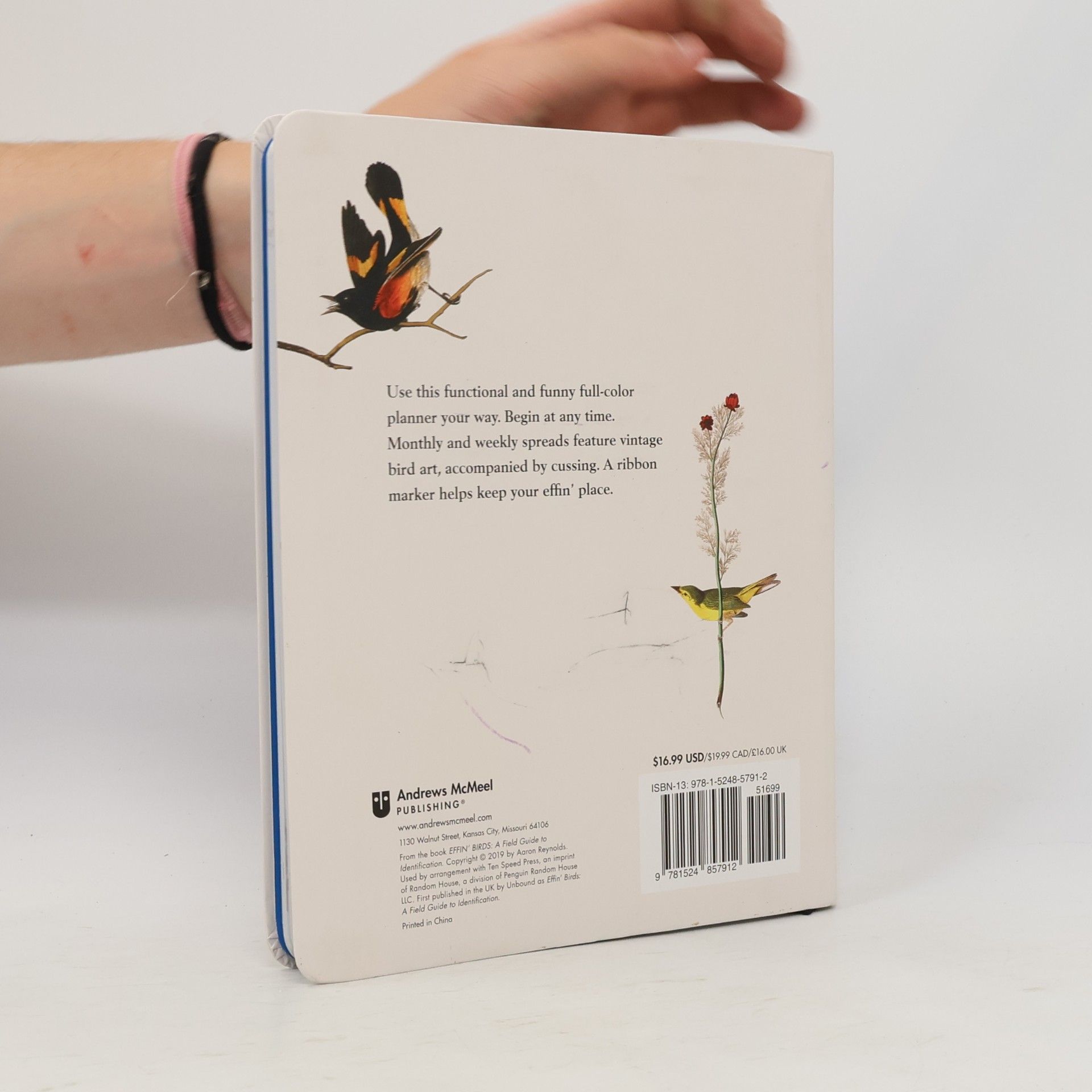 Aaron Reynolds Effin' Birds Undated Monthly/Weekly Planner Calendar
