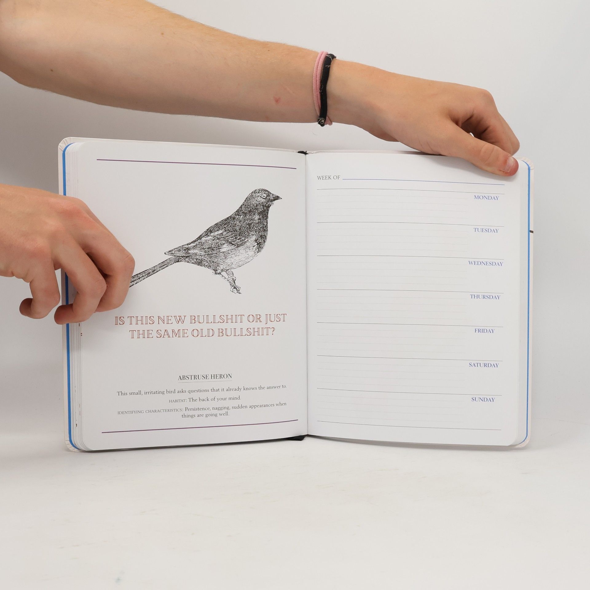 Aaron Reynolds Effin' Birds Undated Monthly/Weekly Planner Calendar