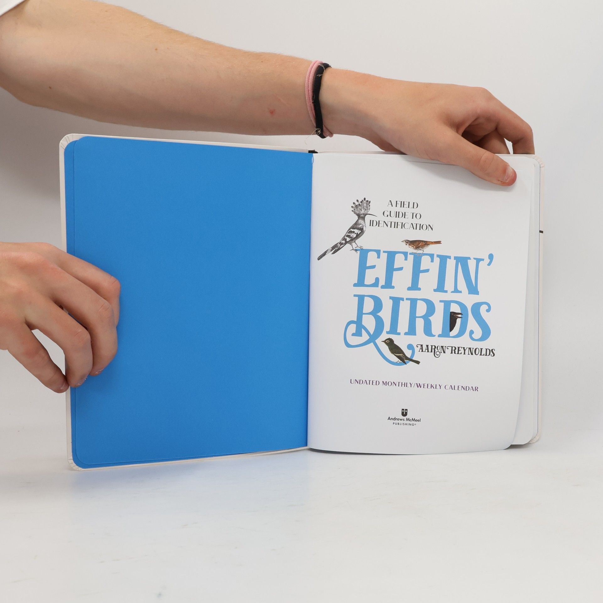 Aaron Reynolds Effin' Birds Undated Monthly/Weekly Planner Calendar