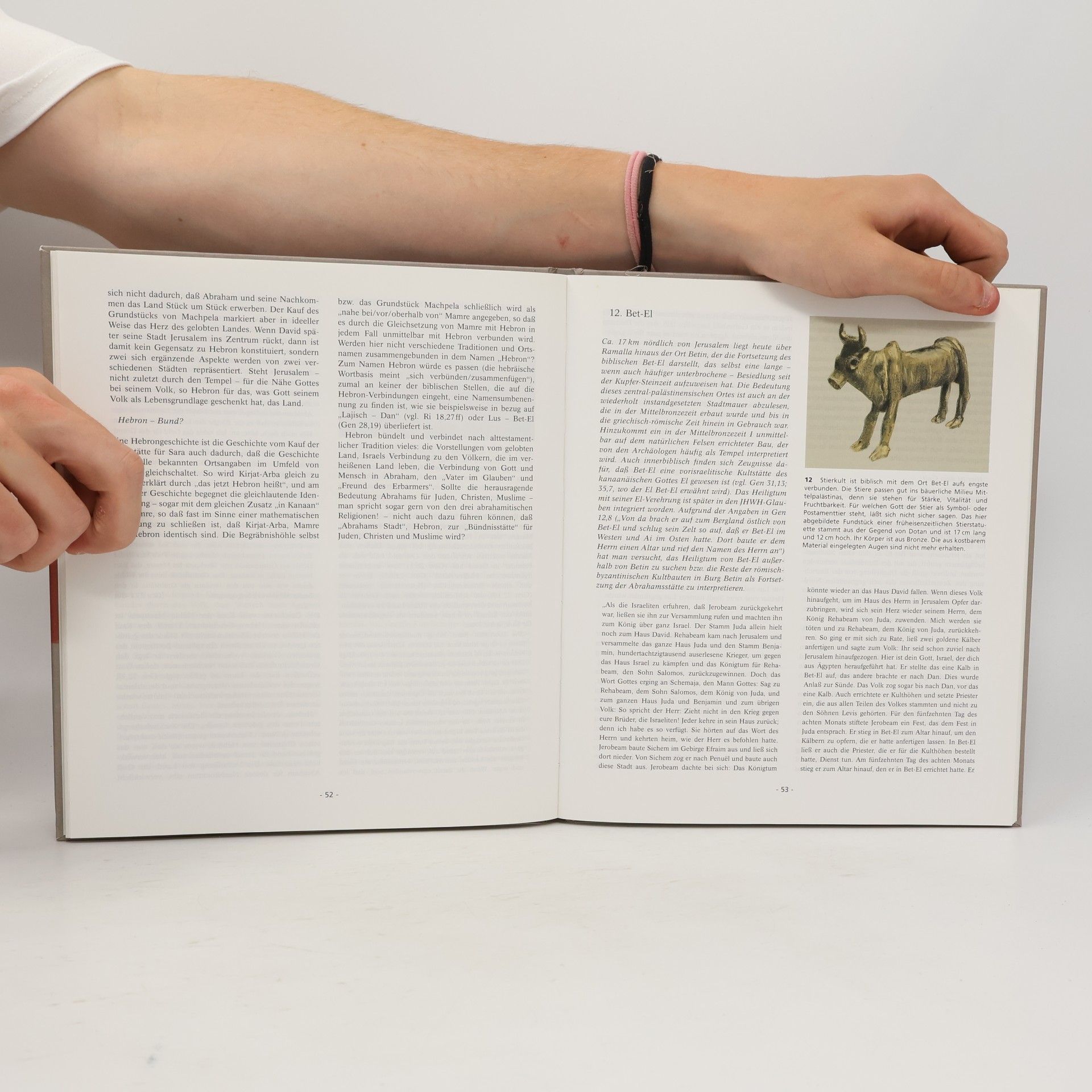 Christoph Dohmen Orte der Bibel