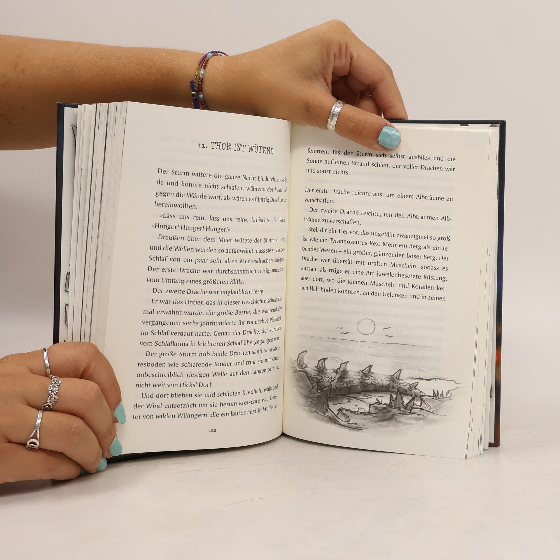Cressida Cowell How to Train Your Dragon – Drachenzähmen leicht gemacht