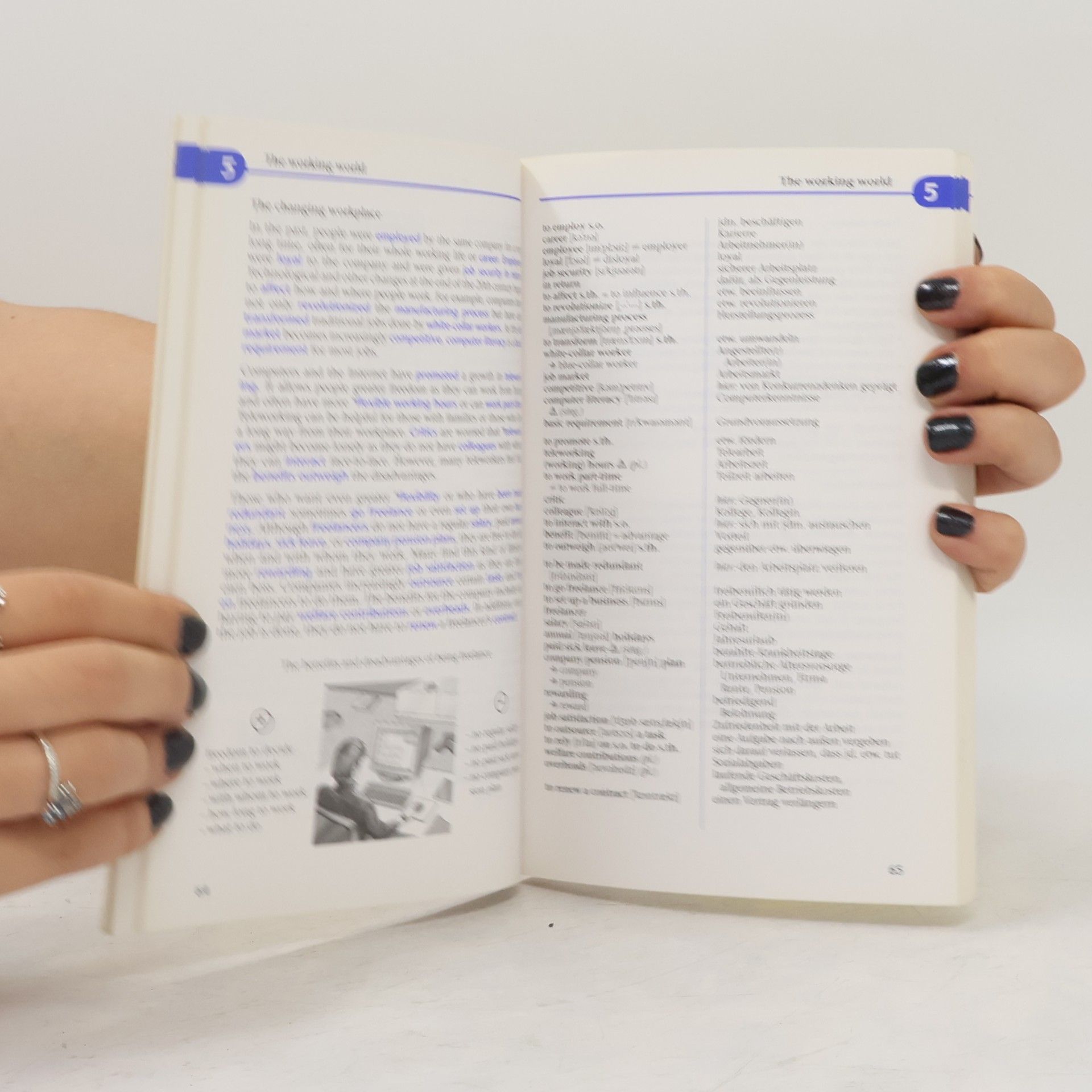 Louise Carleton Gertsch Words in context, Thematischer Oberstufenwortschatz Englisch Neubearbeitung