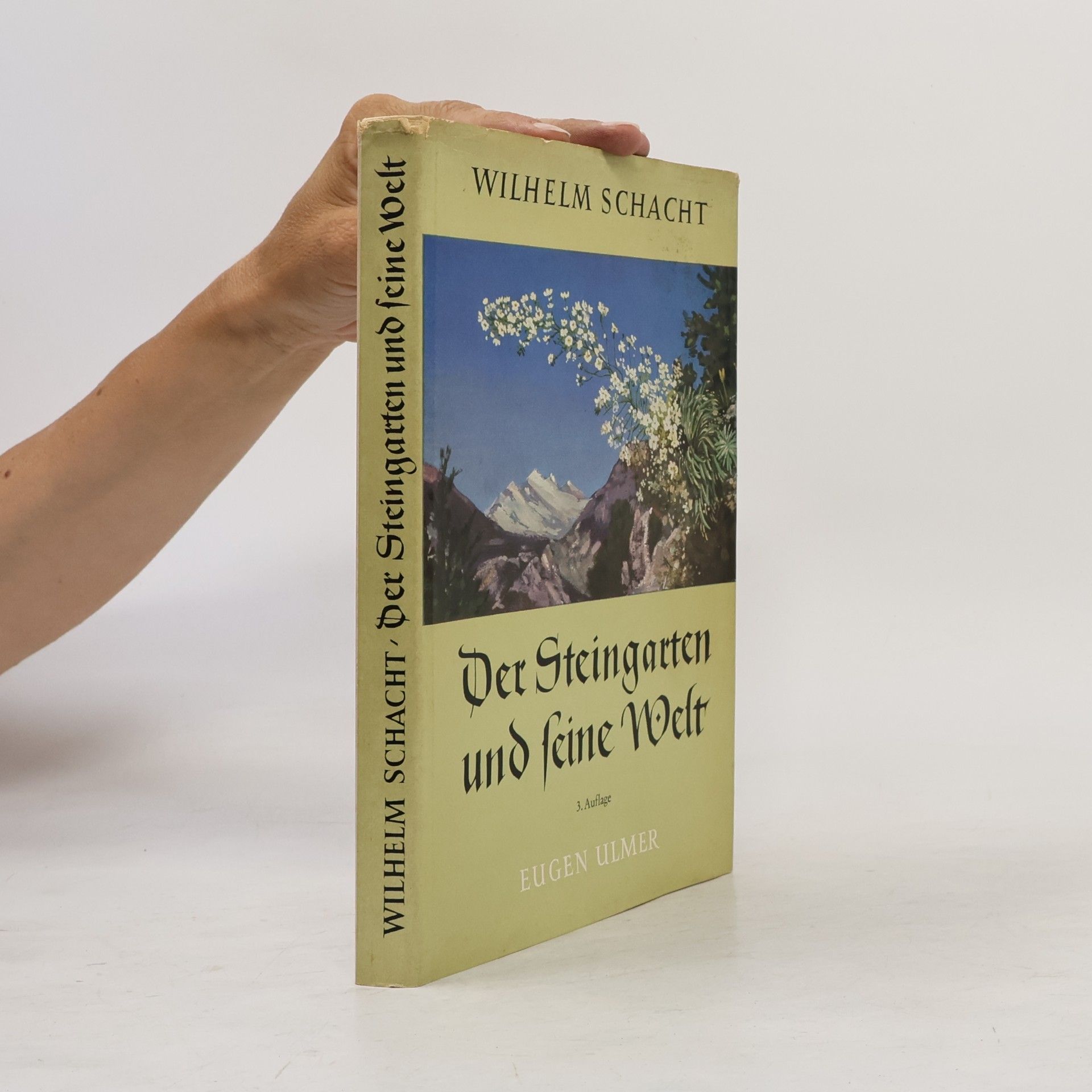 Wilhelm Schacht Der Steingarten und seine Welt