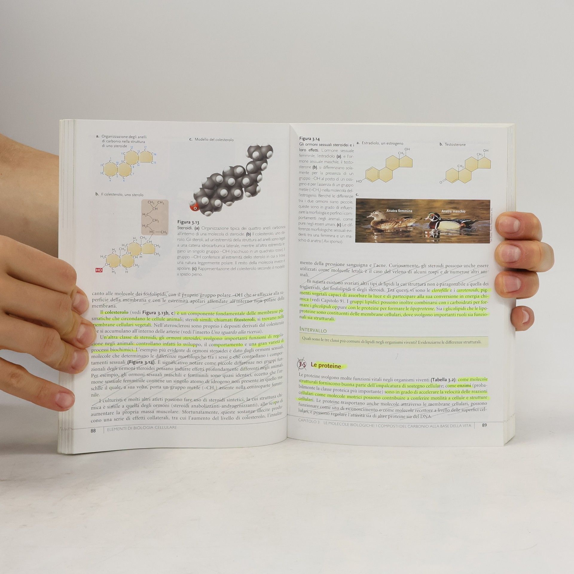 Stephen L. Wolfe Elementi di biologia cellulare