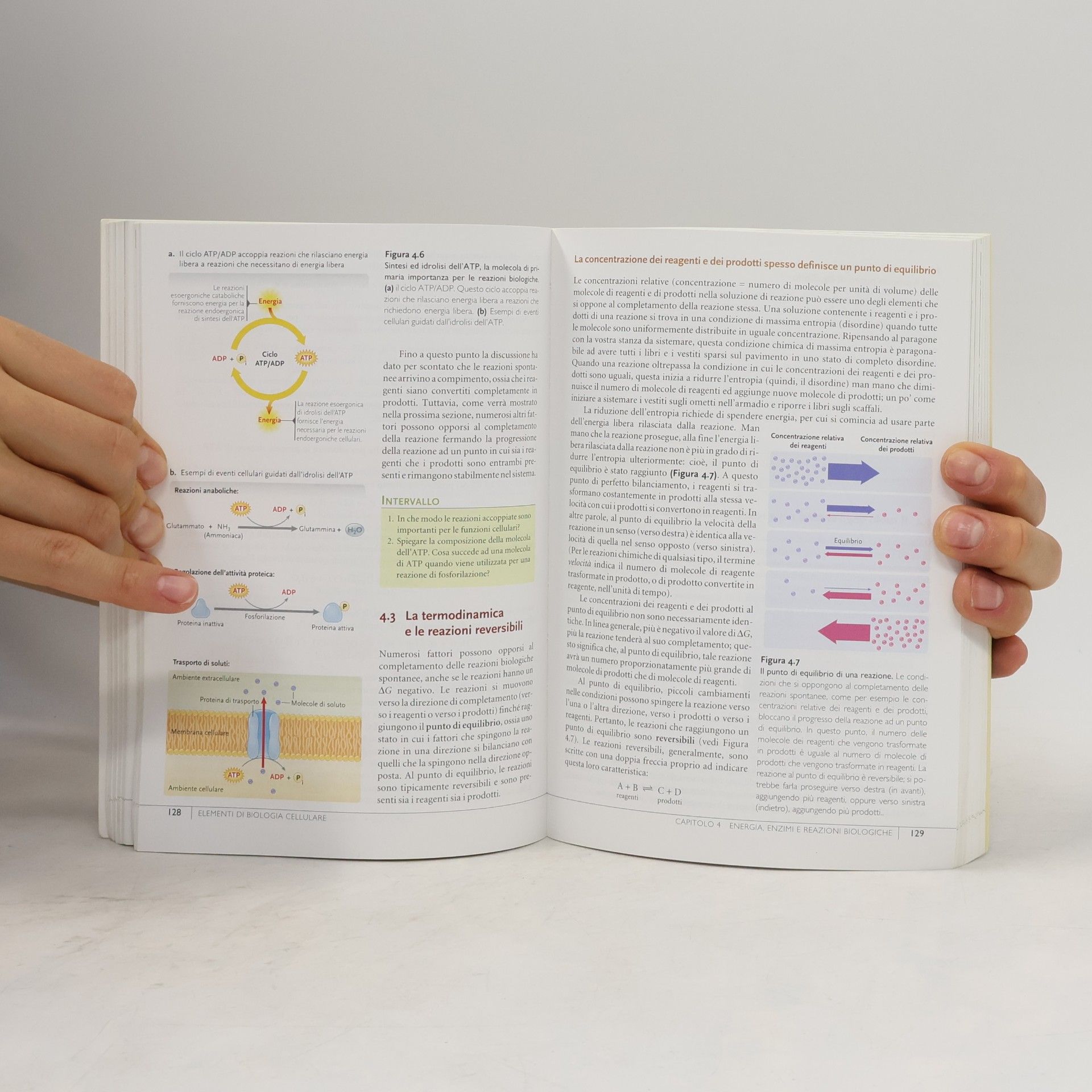 Stephen L. Wolfe Elementi di biologia cellulare