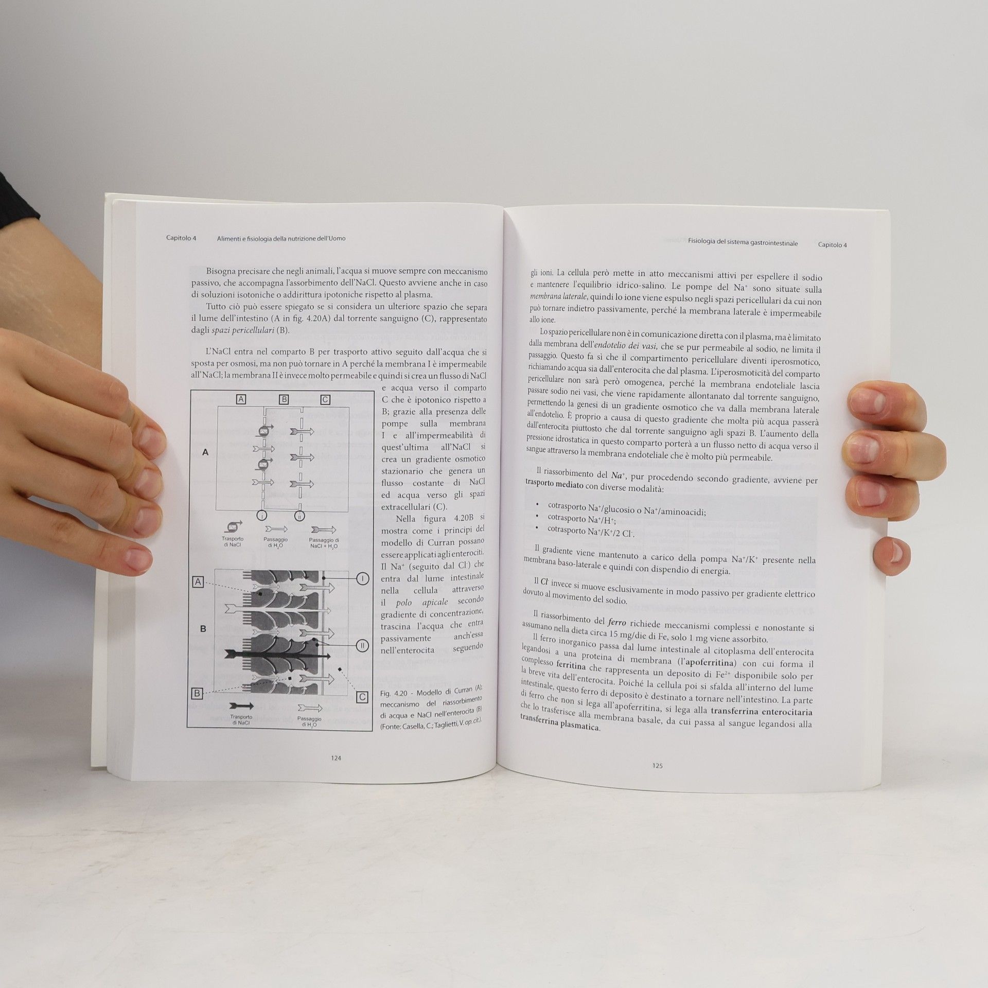 Rita Canella Biblioteca contemporanea: Alimenti e fisiologia della nutrizione nell'uomo