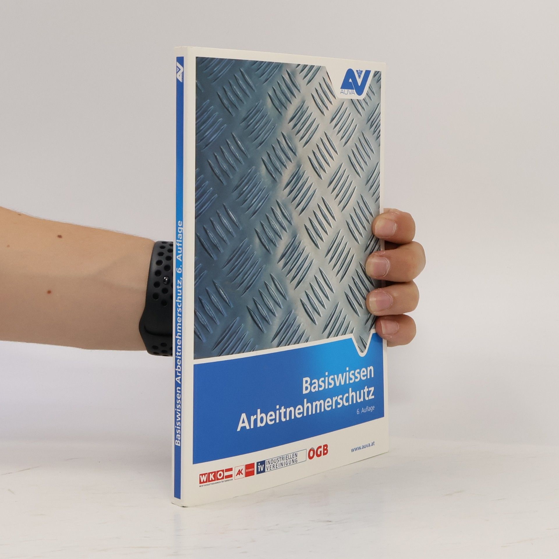 Autorenkollektiv Basiswissen Arbeitnehmerschutz