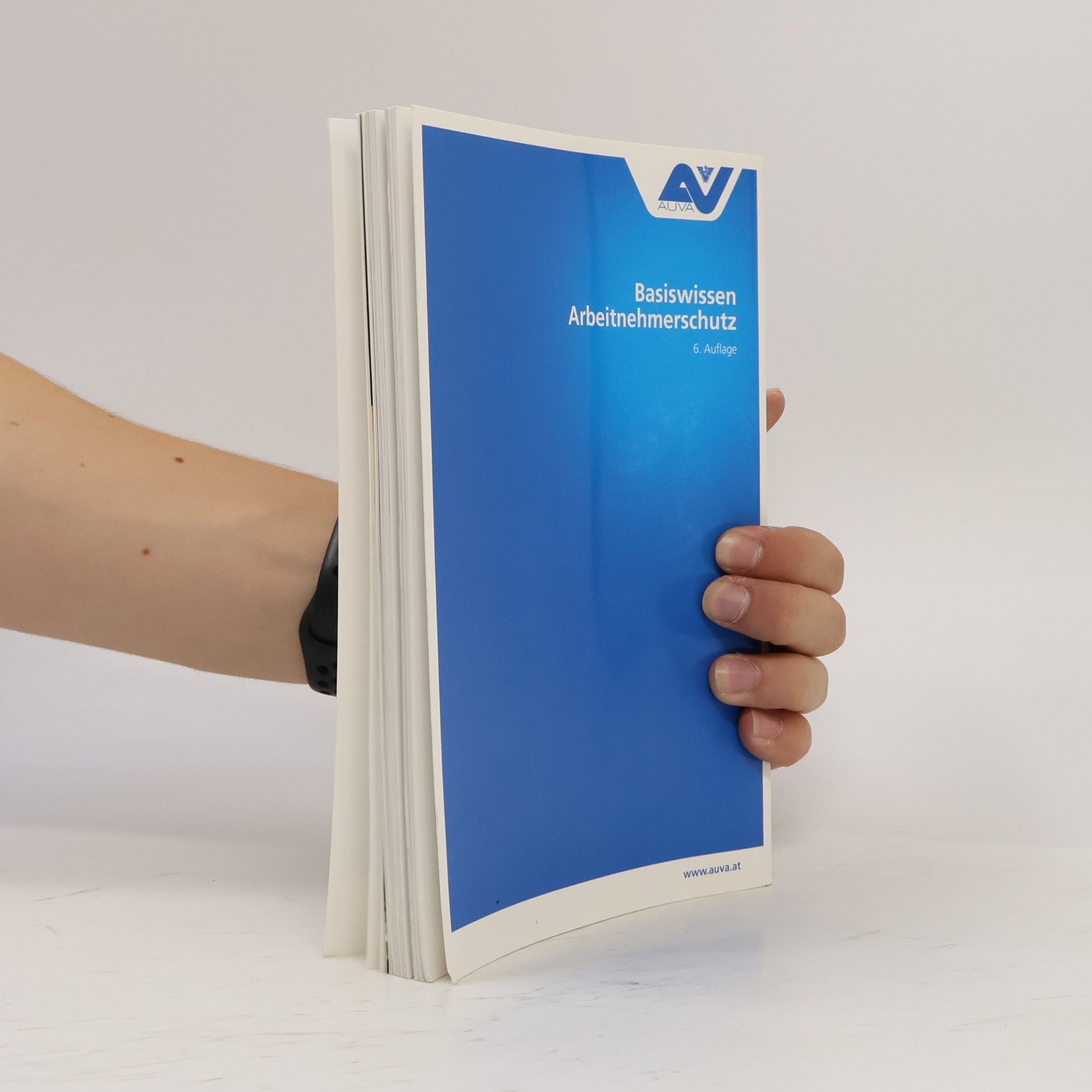 Autorenkollektiv Basiswissen Arbeitnehmerschutz