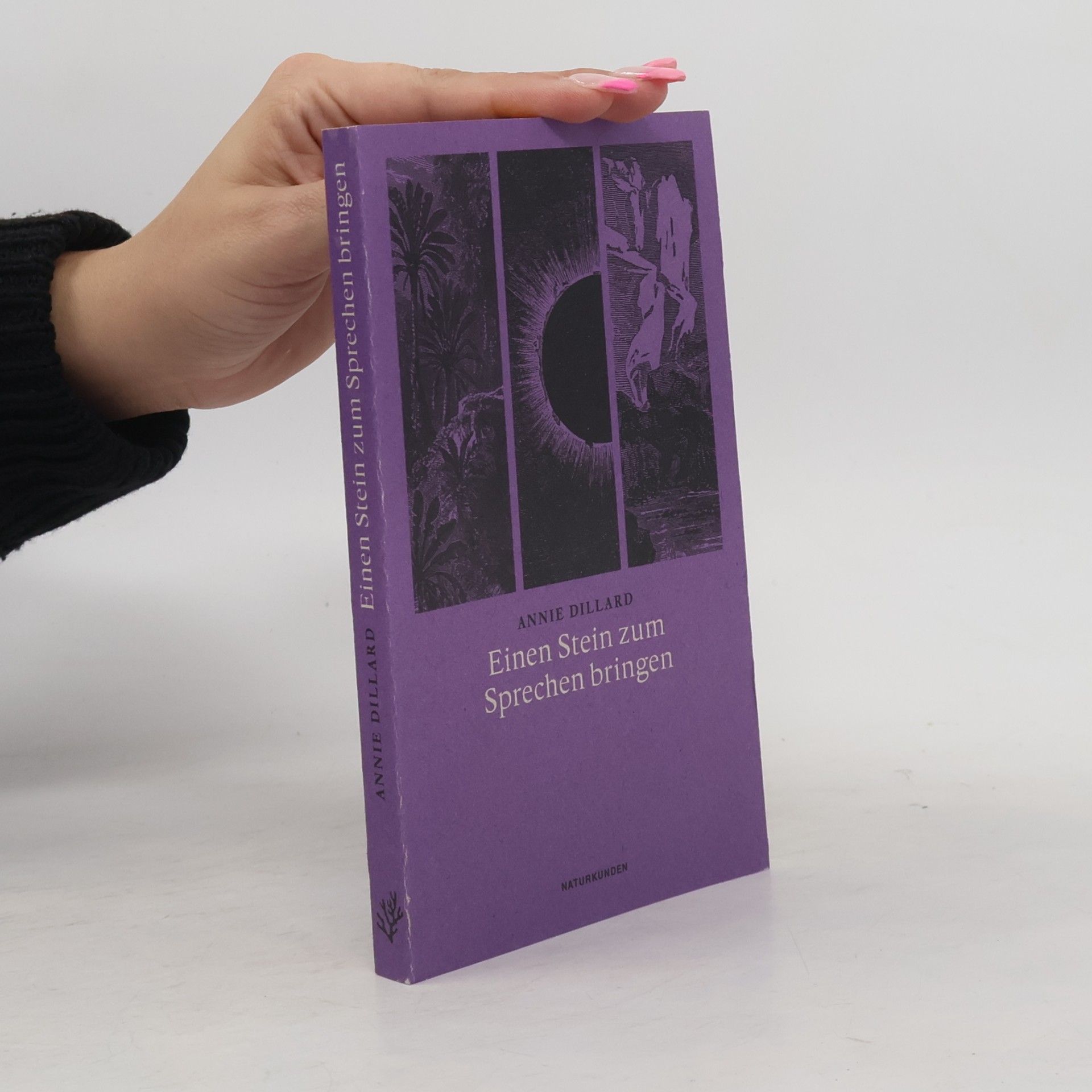 Annie Dillard Einen Stein zum Sprechen bringen