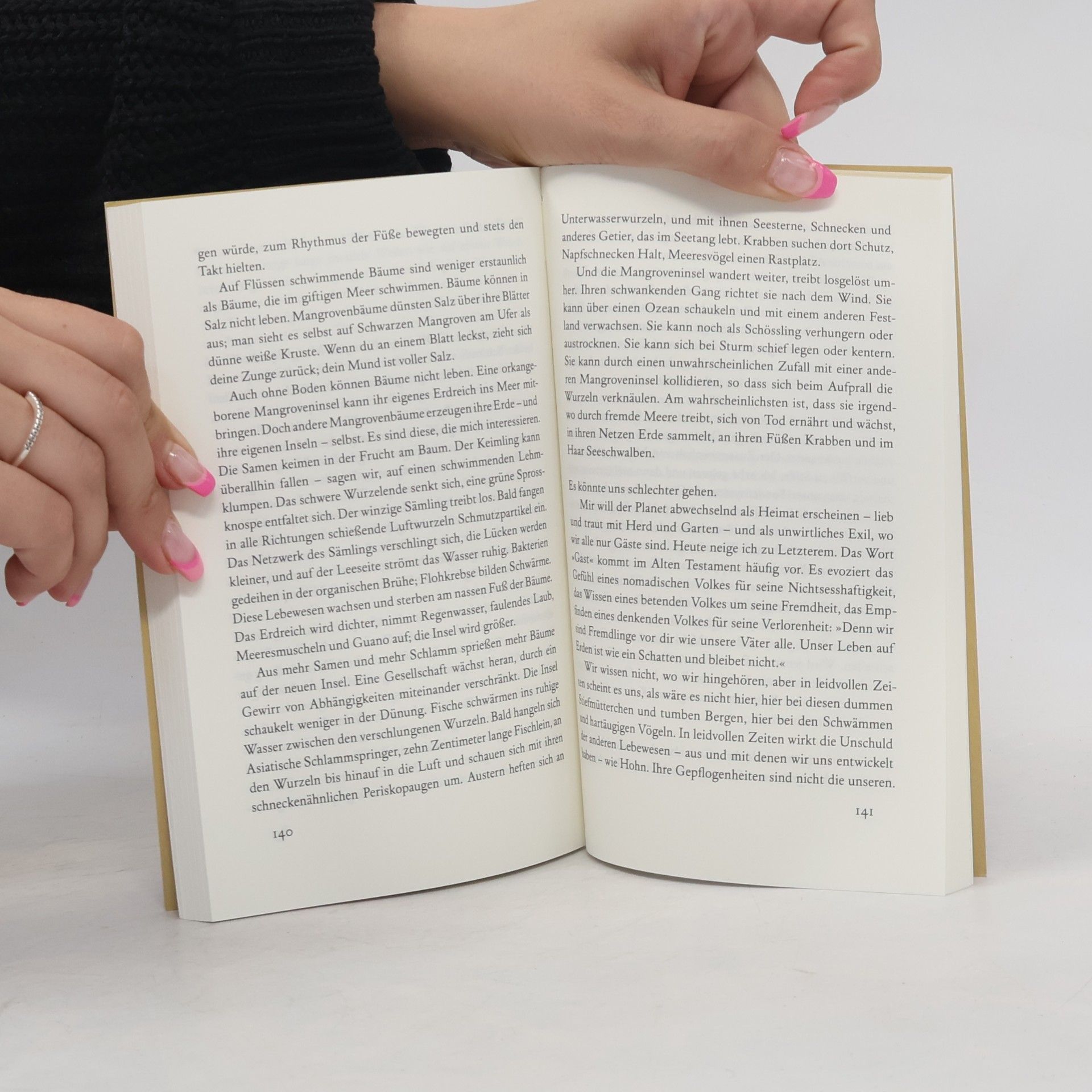 Annie Dillard Einen Stein zum Sprechen bringen