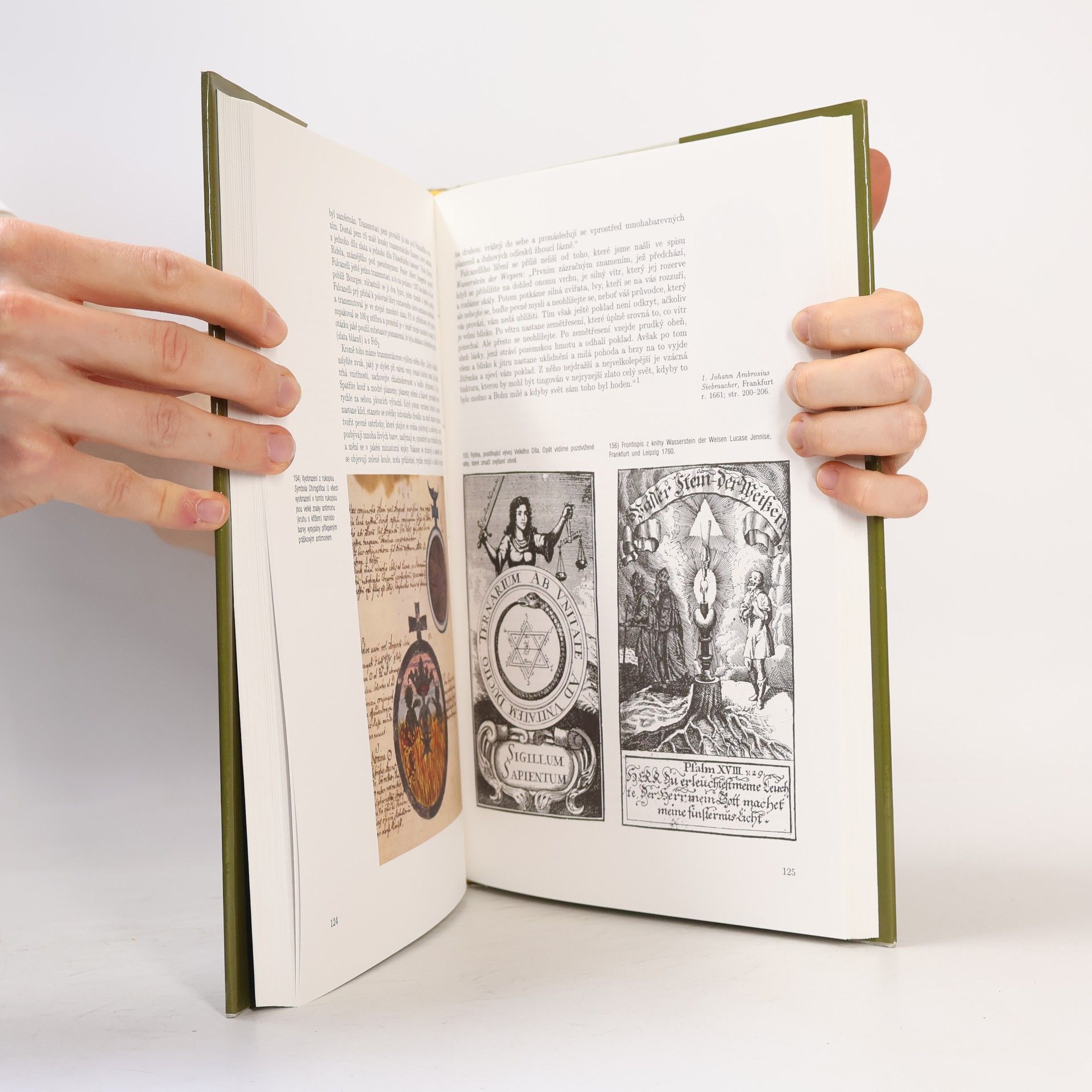 D. Ž. Bor Napříč říší královského umění