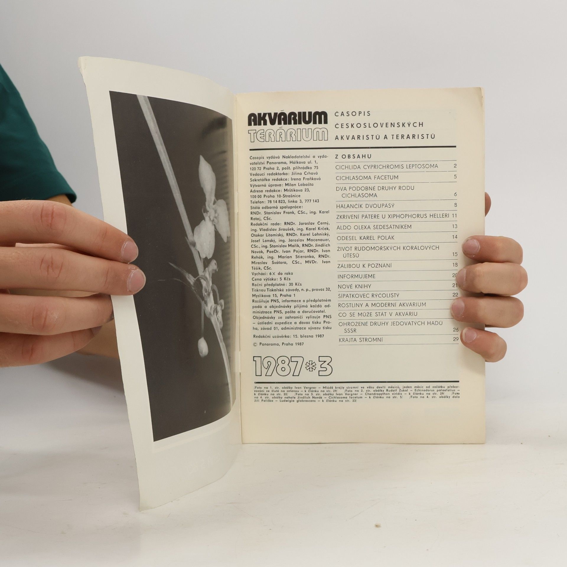 Autorenkollektiv  Akvárium Terárium 3/1987