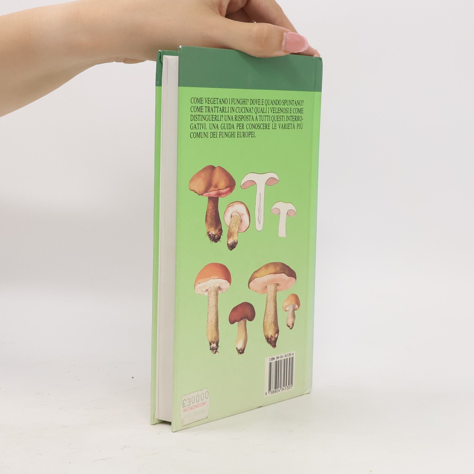 Giuseppe Pace Illustrati. Guide pratiche manuali: Atlante dei funghi