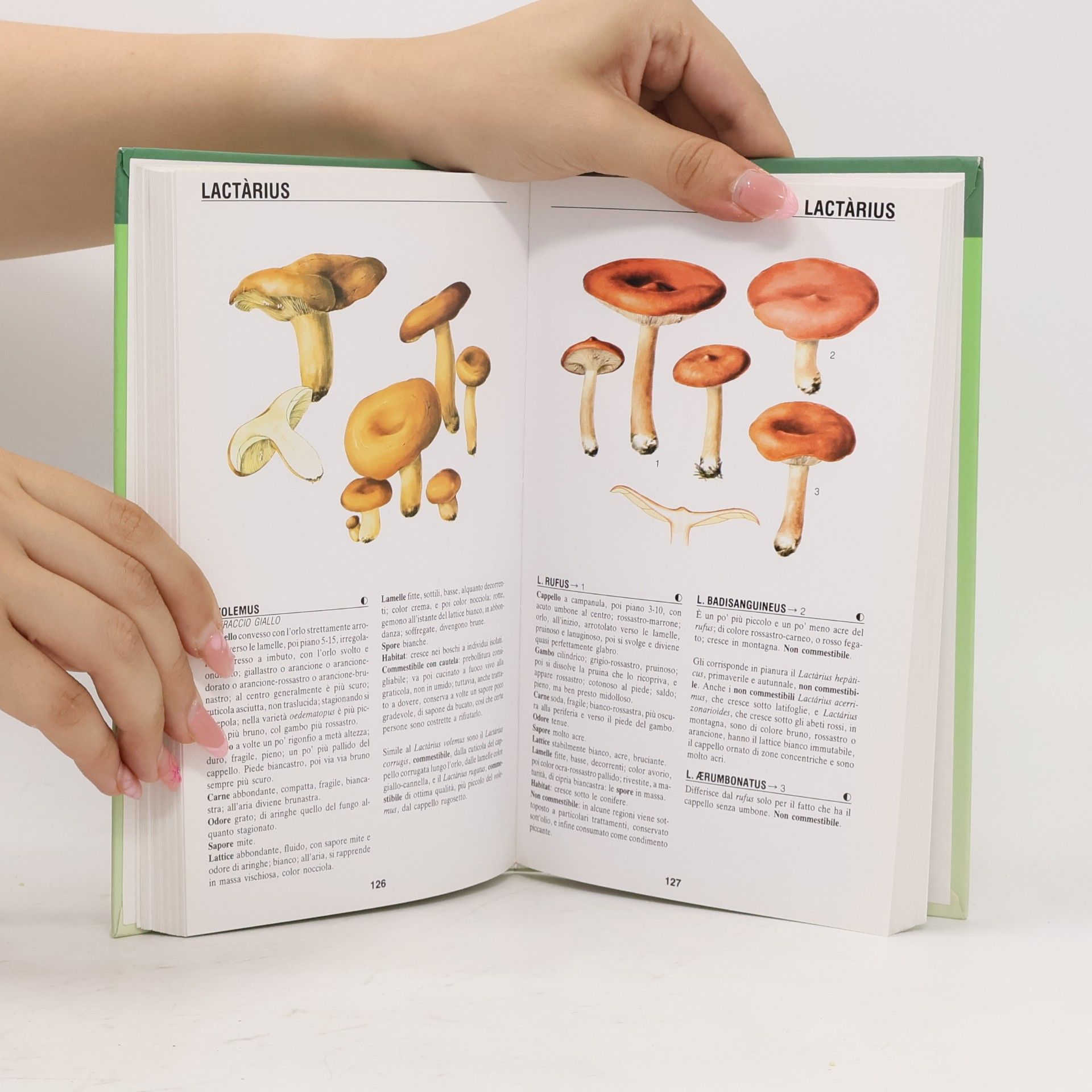 Giuseppe Pace Illustrati. Guide pratiche manuali: Atlante dei funghi
