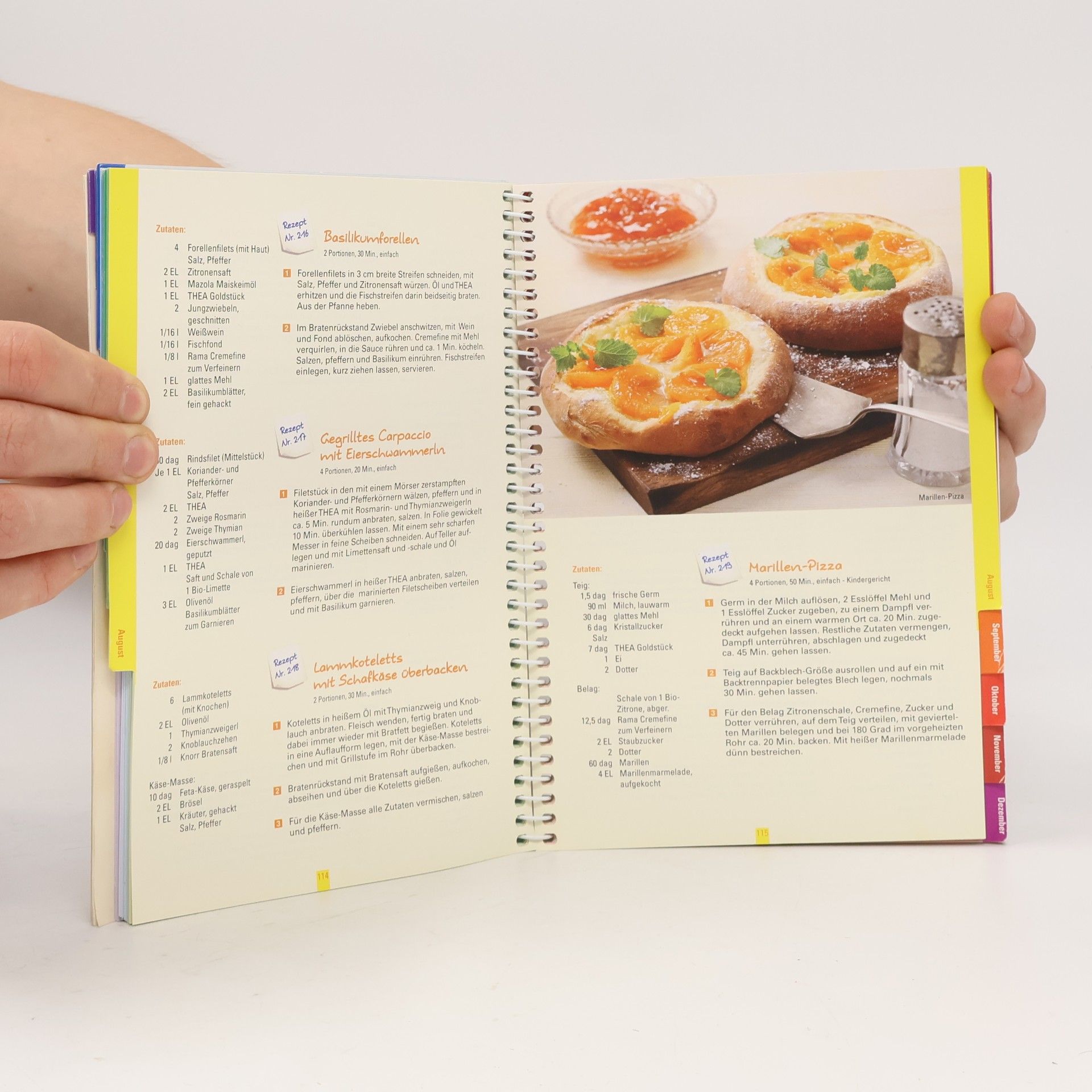 Autorenkollektiv Thea Kochbuch Nr. 21: Was koche ich heute? 365 köstliche Thea Rezepte für jeden Tag!