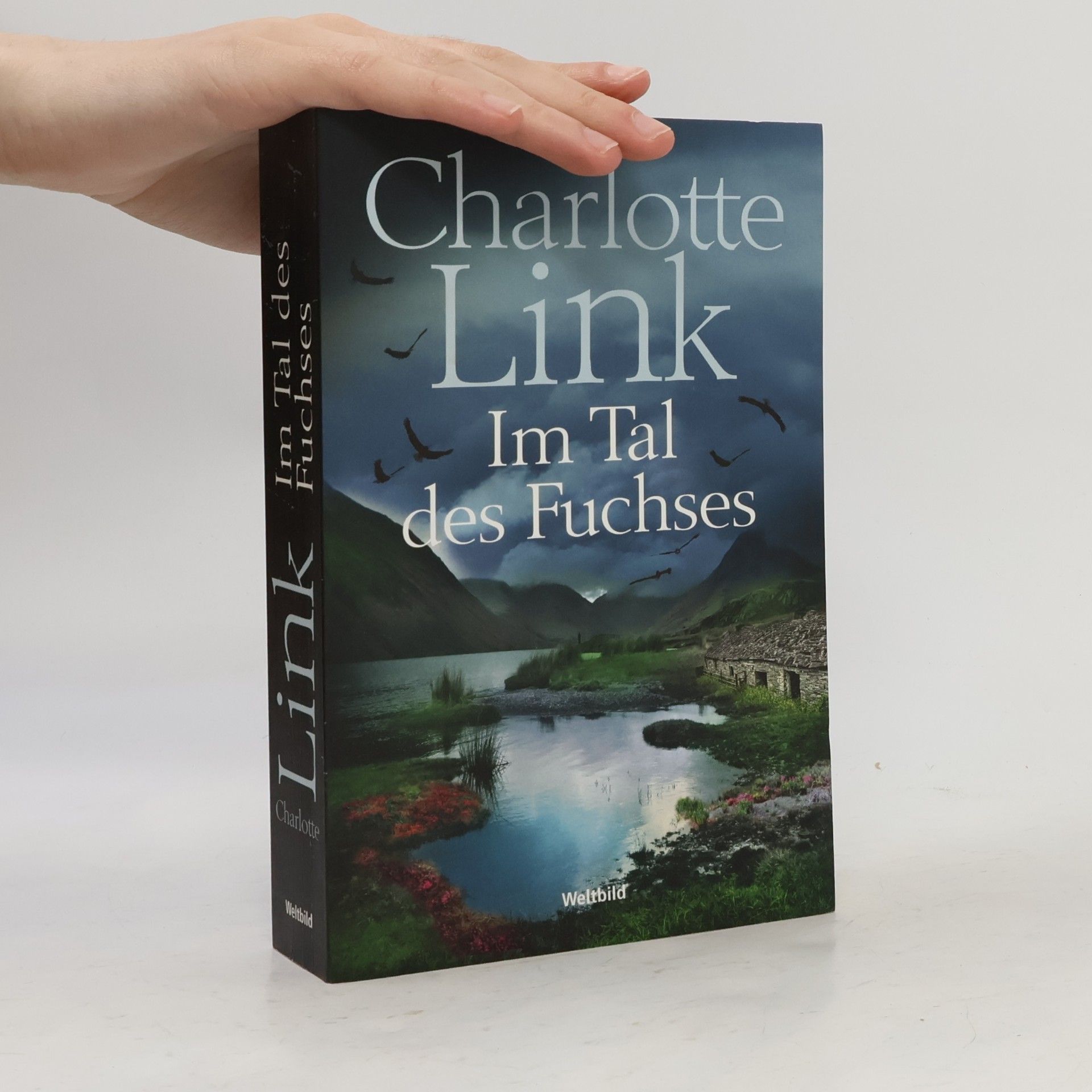 Charlotte Link Im Tal des Fuchses
