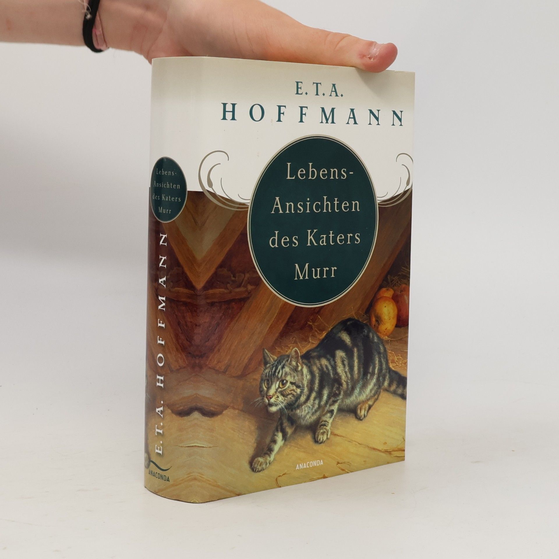 E. T. A. Hoffmann Lebensansichten des Katers Murr