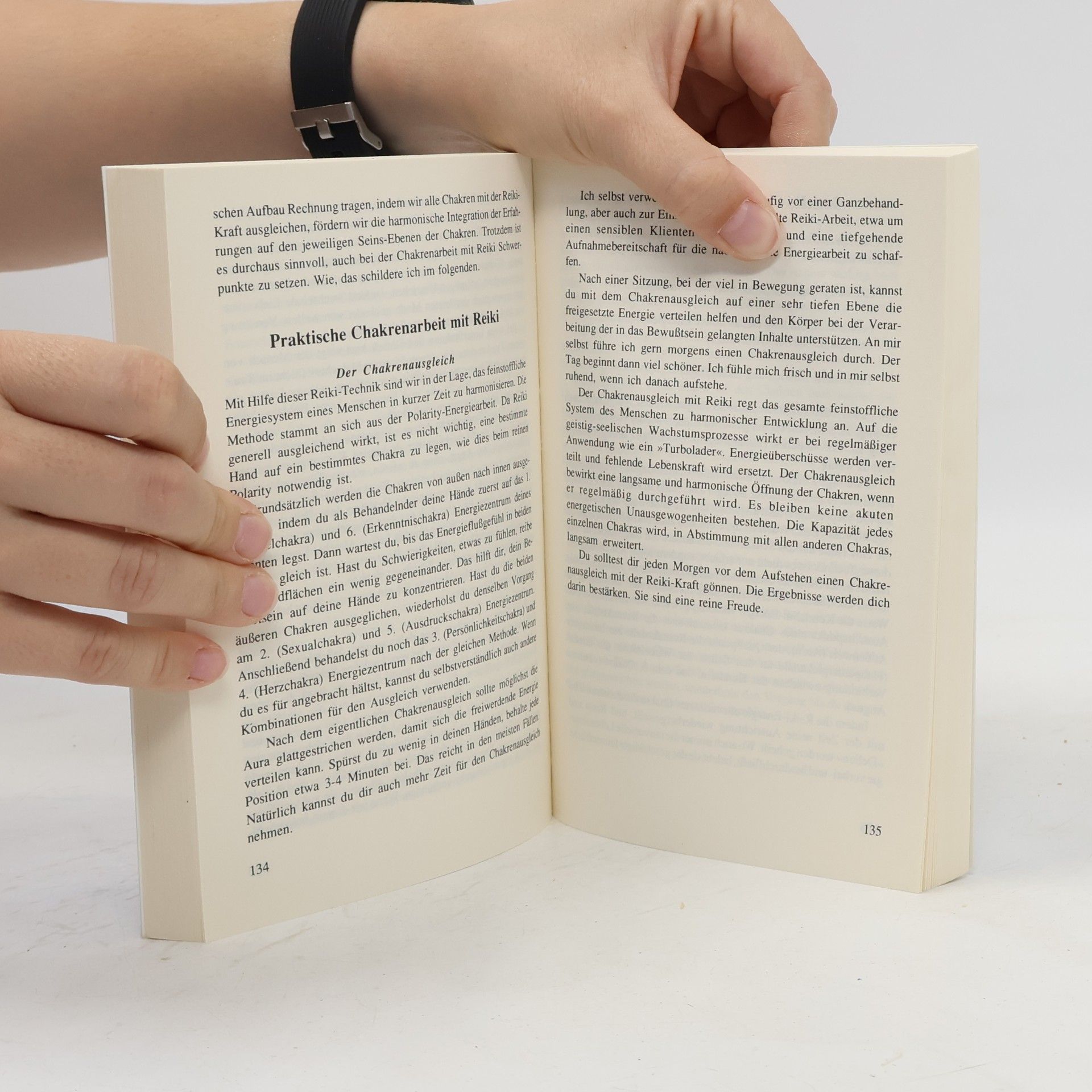 Walter Lübeck Das Reiki Handbuch
