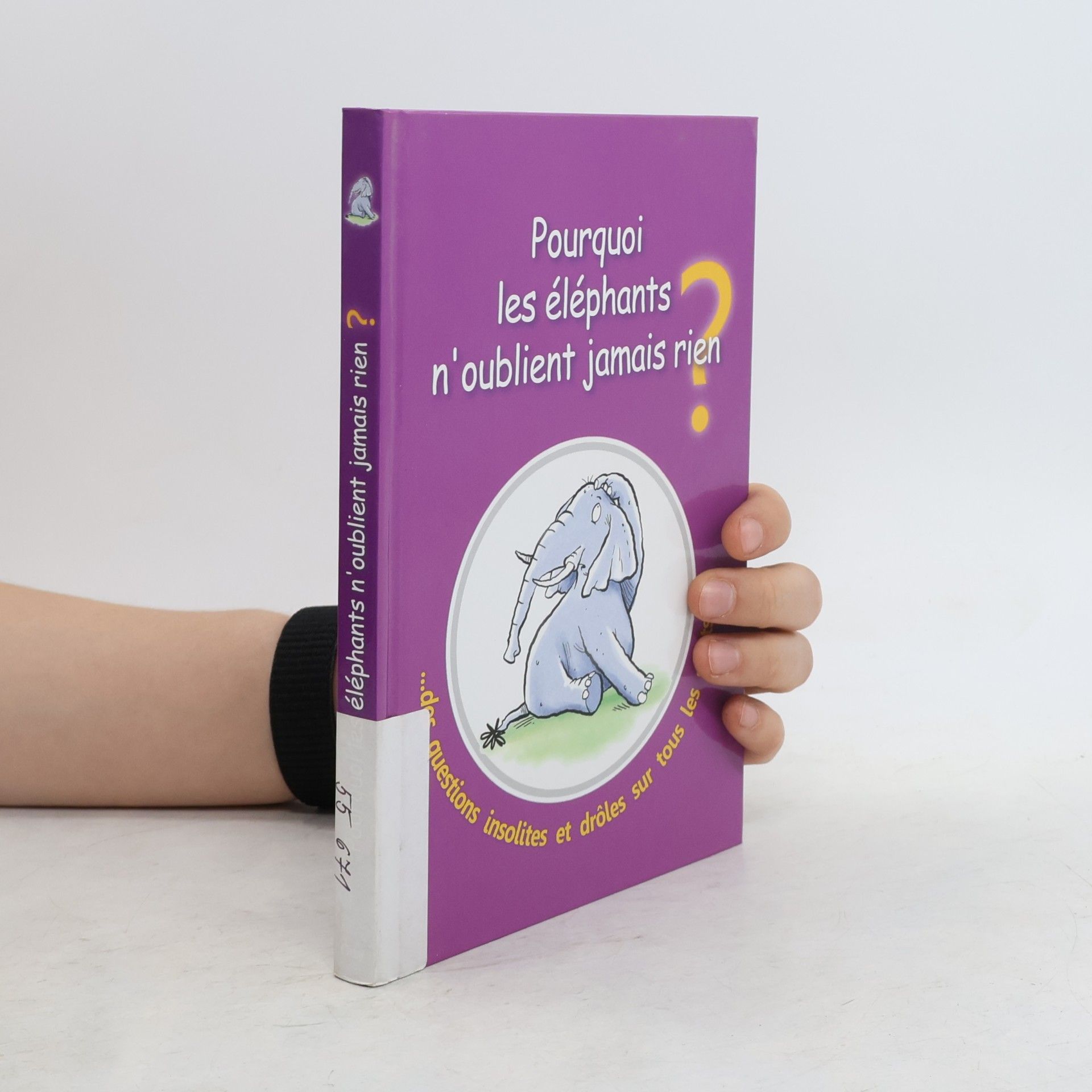 Pourquoi les éléphants n'oublient jamais rien ?
