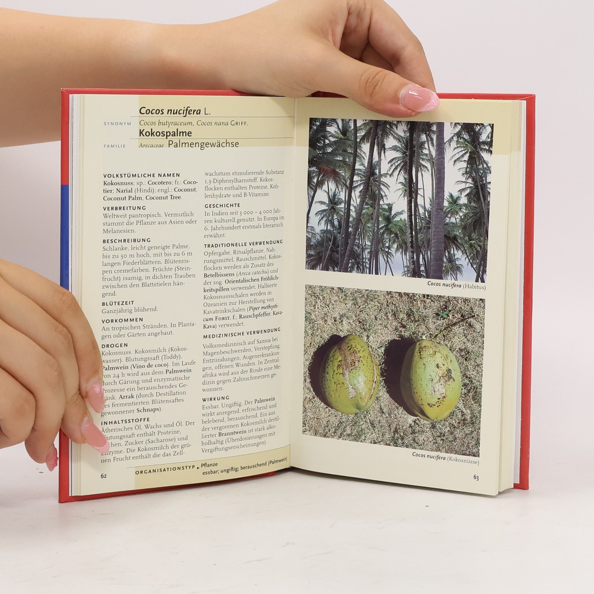 Andreas Alberts Psychoaktive Pflanzen, Pilze und Tiere