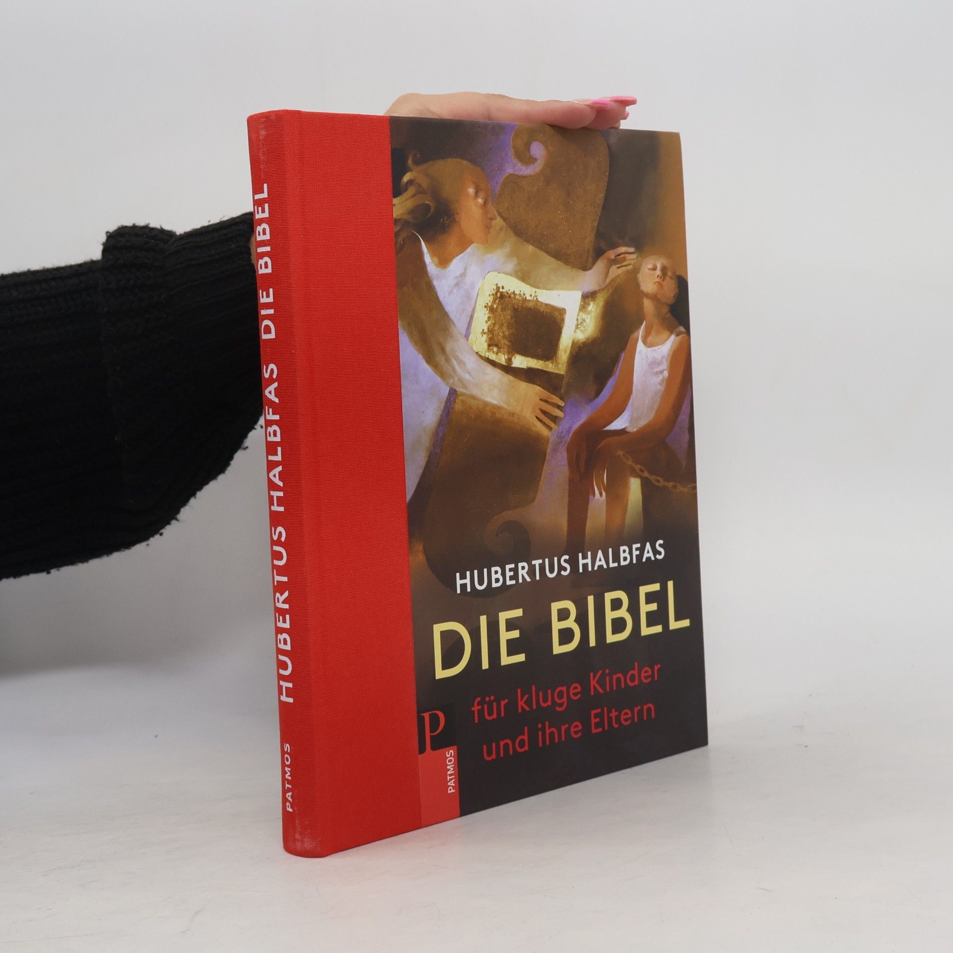 Hubertus Halbfas Die Bibel. Für kluge Kinder und ihre Eltern