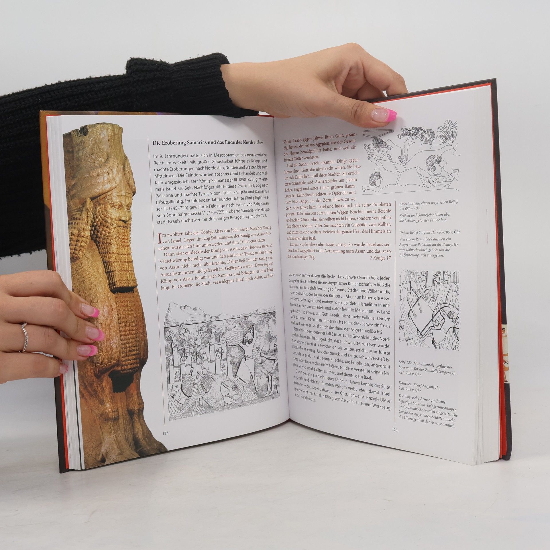 Hubertus Halbfas Die Bibel. Für kluge Kinder und ihre Eltern