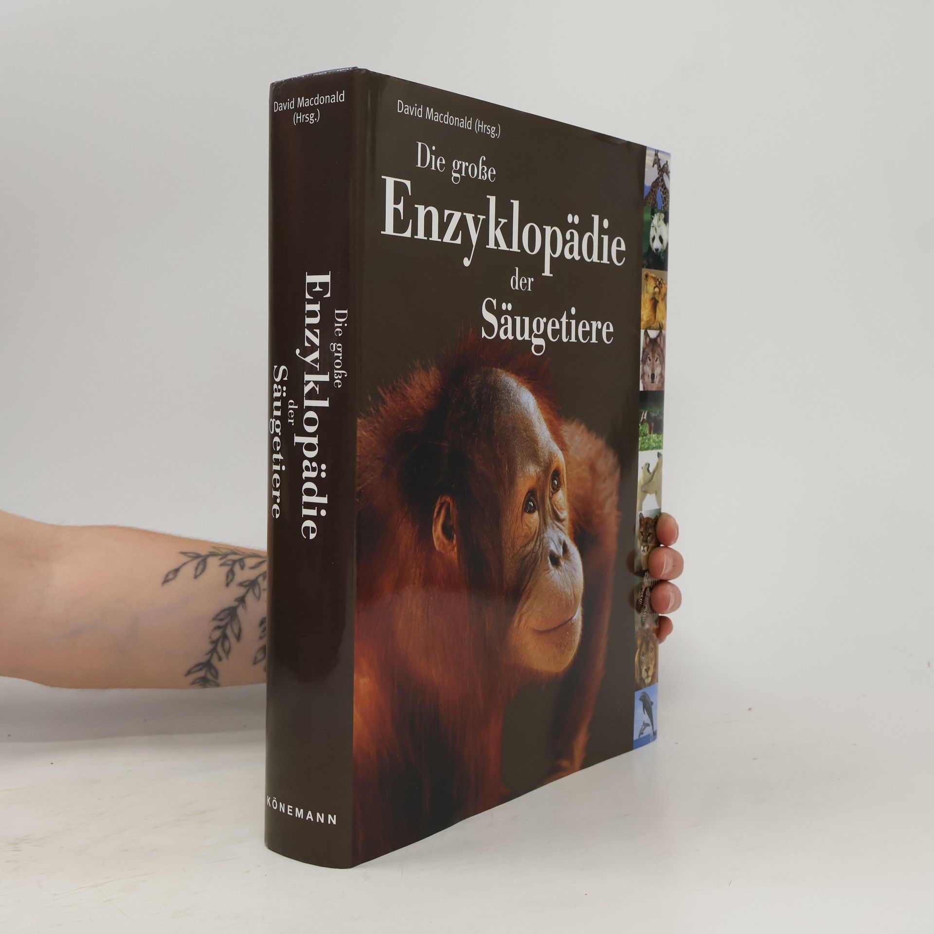 David Macdonald Die große Enzyklopädie der Säugetiere