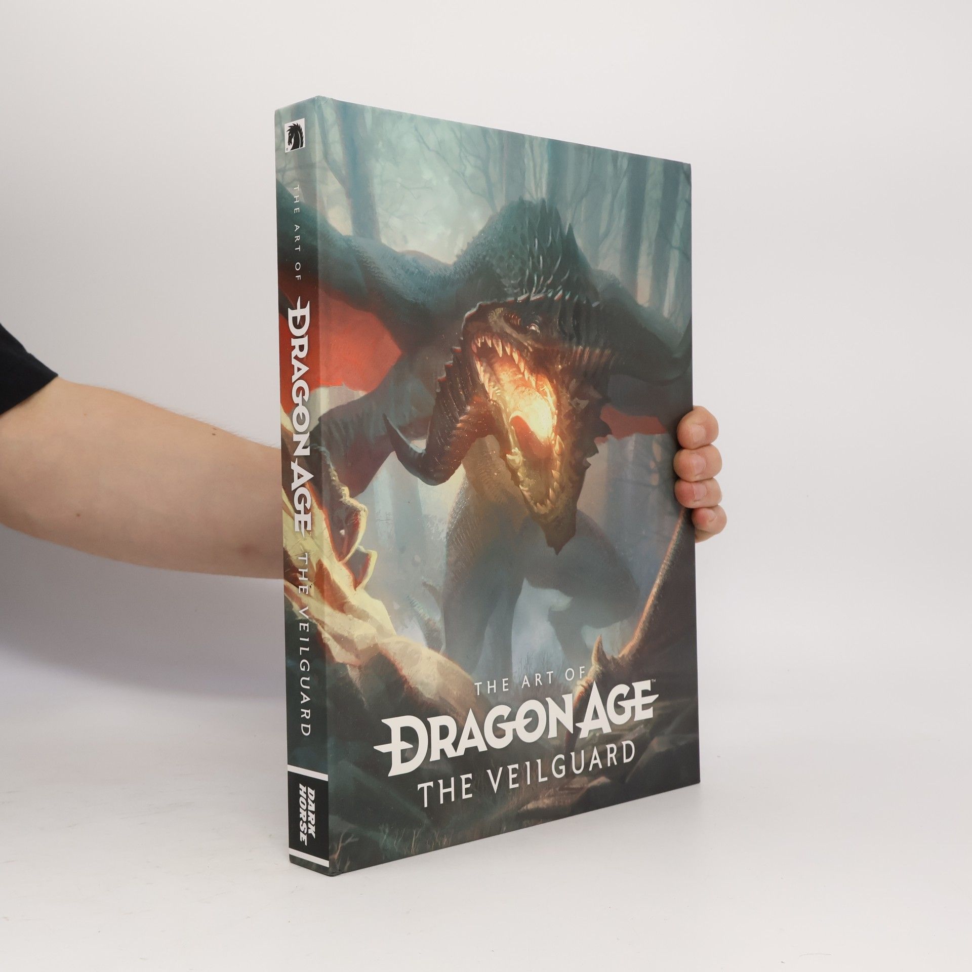 BioWare The Art of Dragon Age