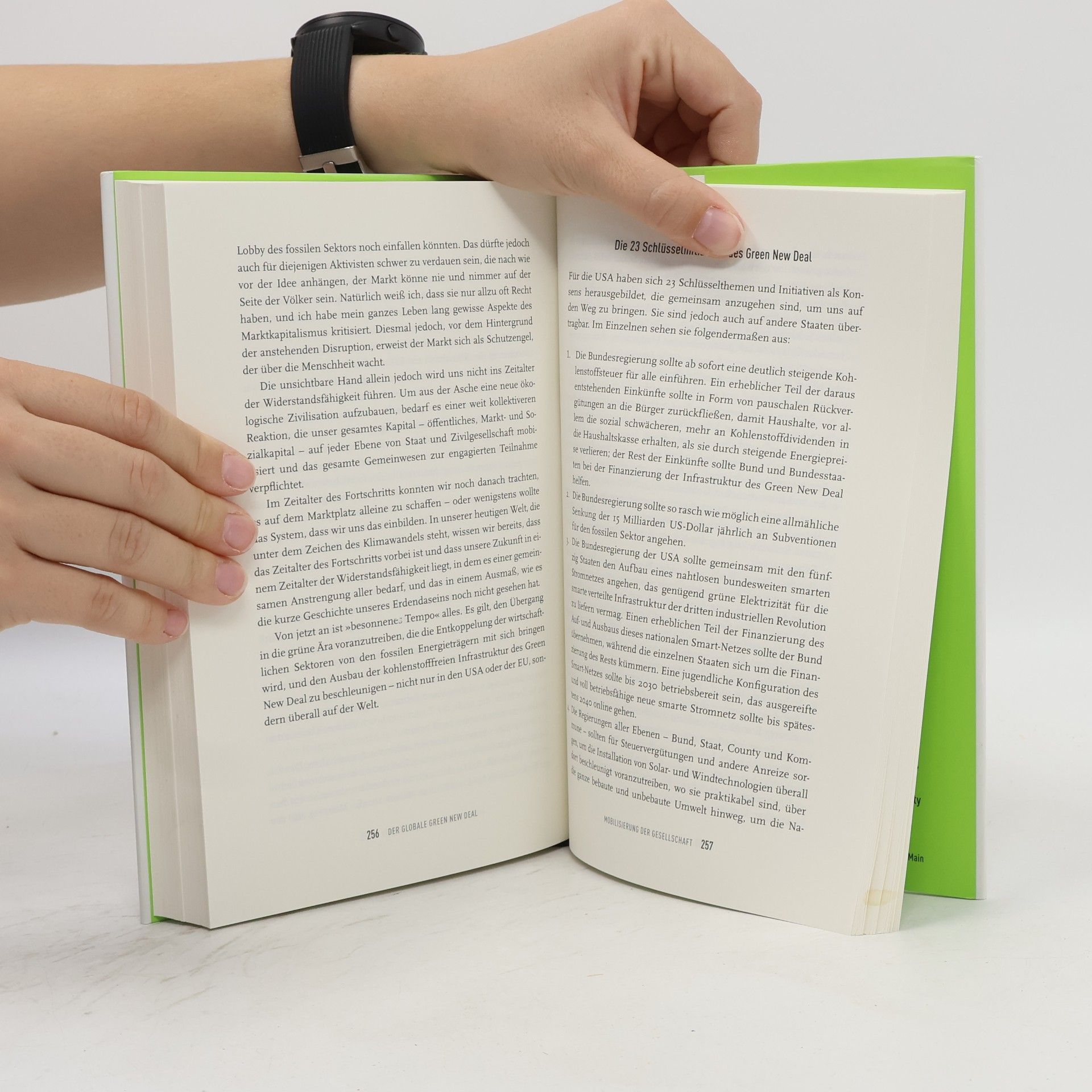 Jeremy Rifkin Der globale Green New Deal
