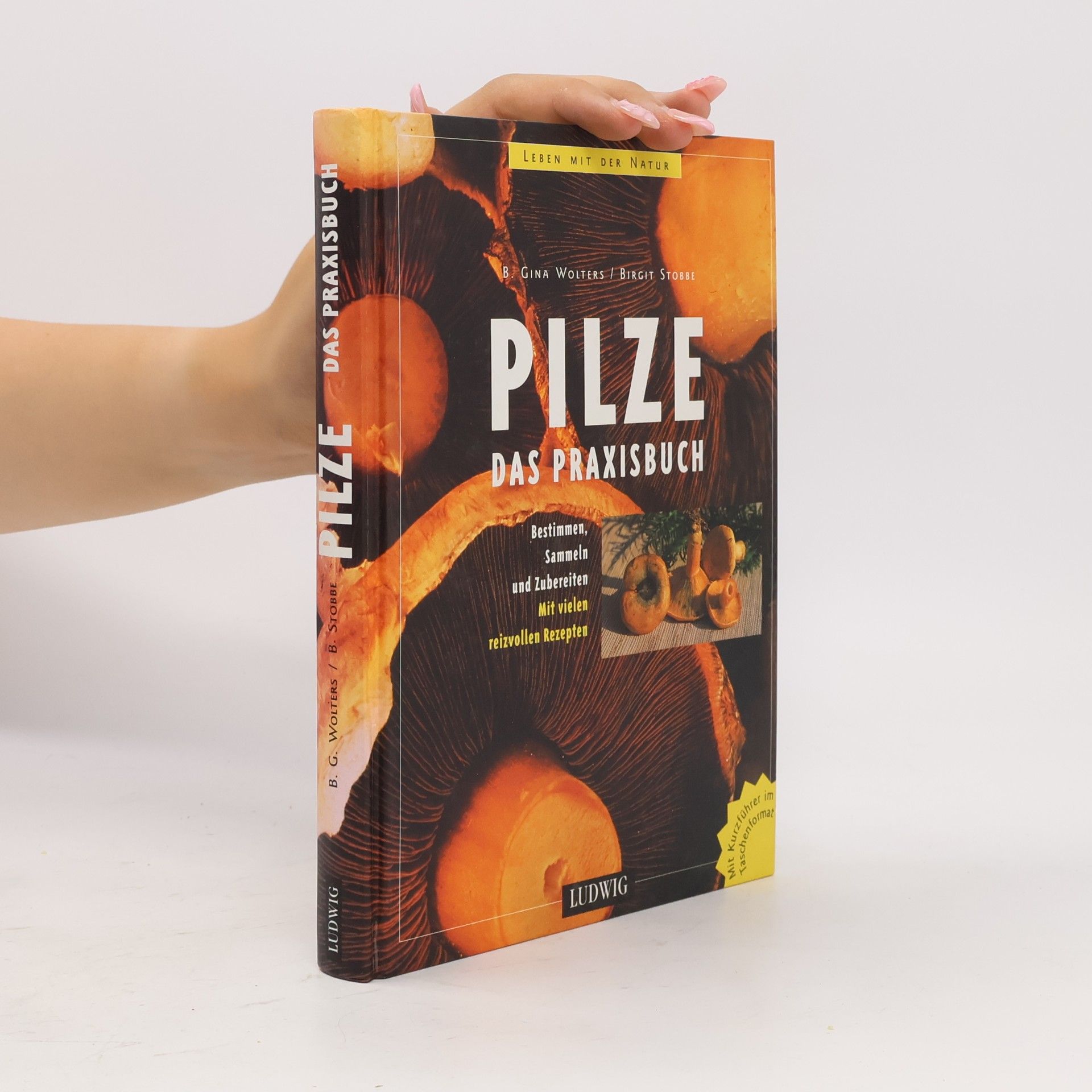 Birgit Wolters Pilze