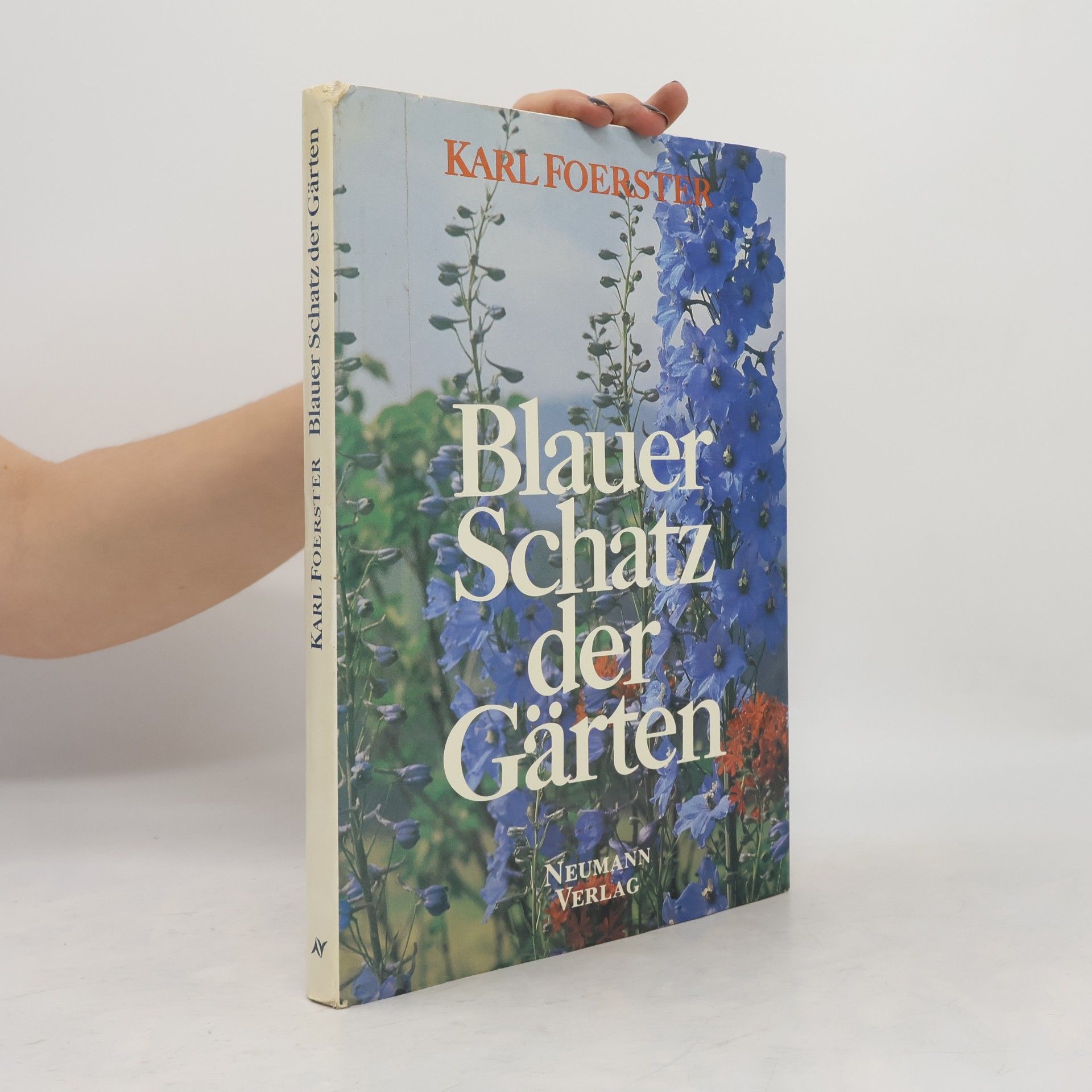 Karl Foerster Blauer Schatz der Gärten