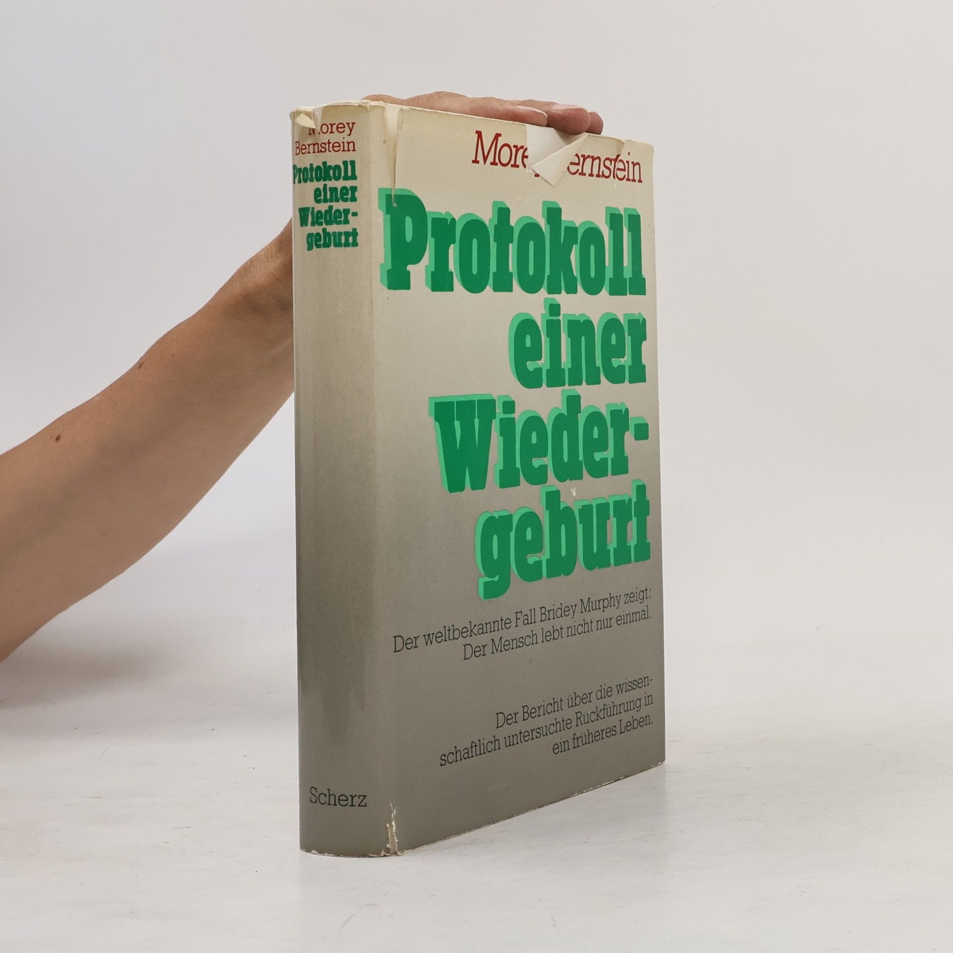 Morey Bernstein Protokoll einer Wiedergeburt