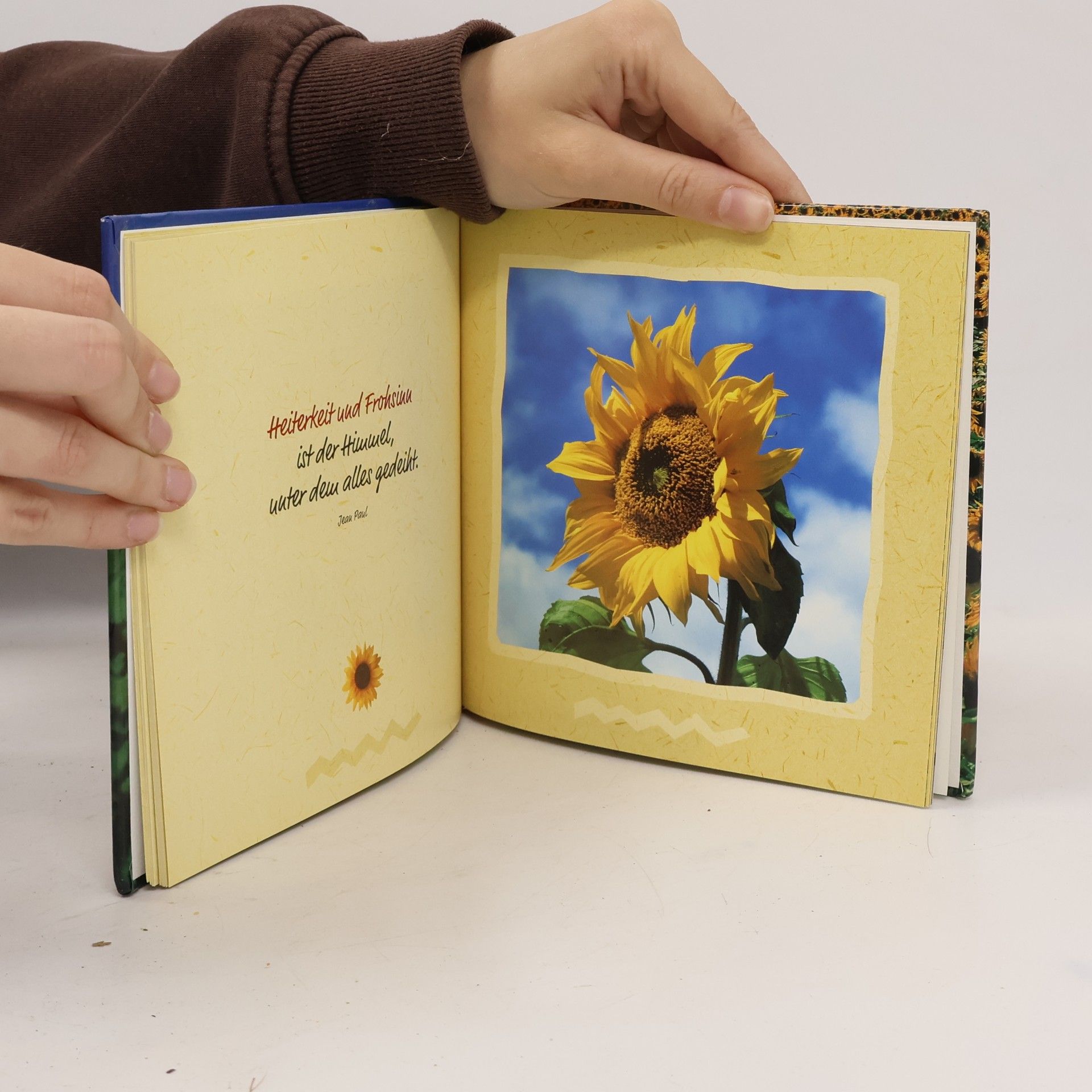 Dorothée Bleker Sonnenblumen für dich