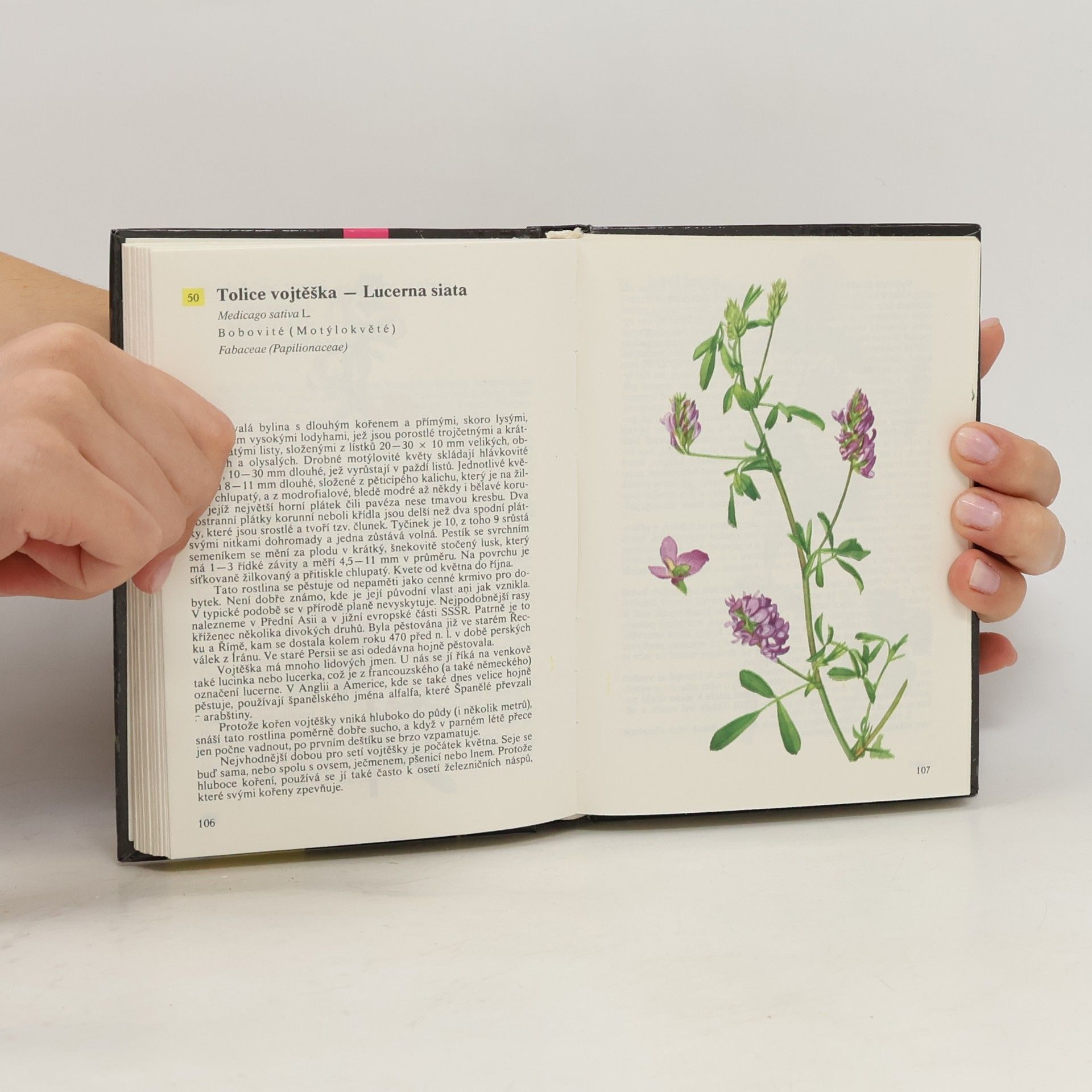 Albert Pilát Kapesní atlas rostlin