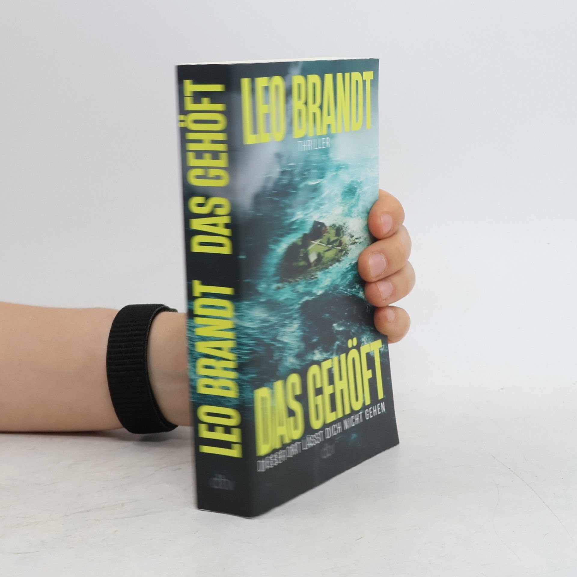 Leo Brandt Das Gehöft