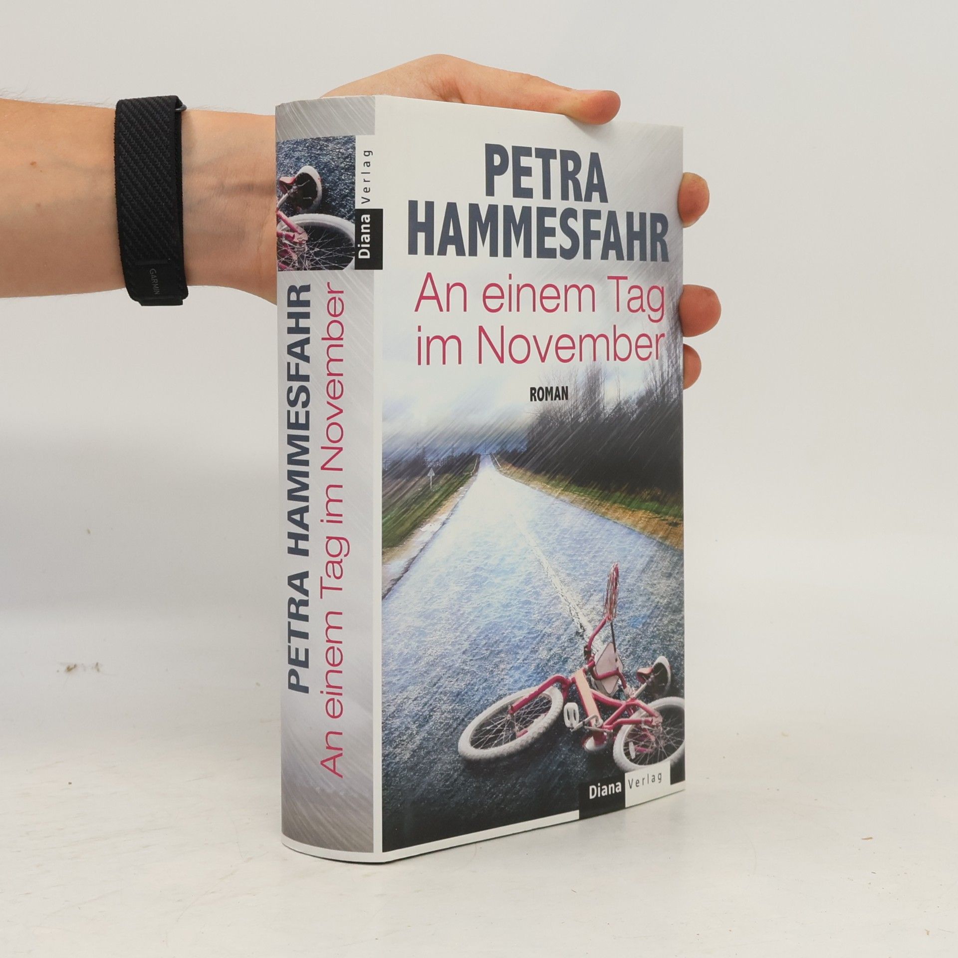 Petra Hammesfahr An einem Tag im November